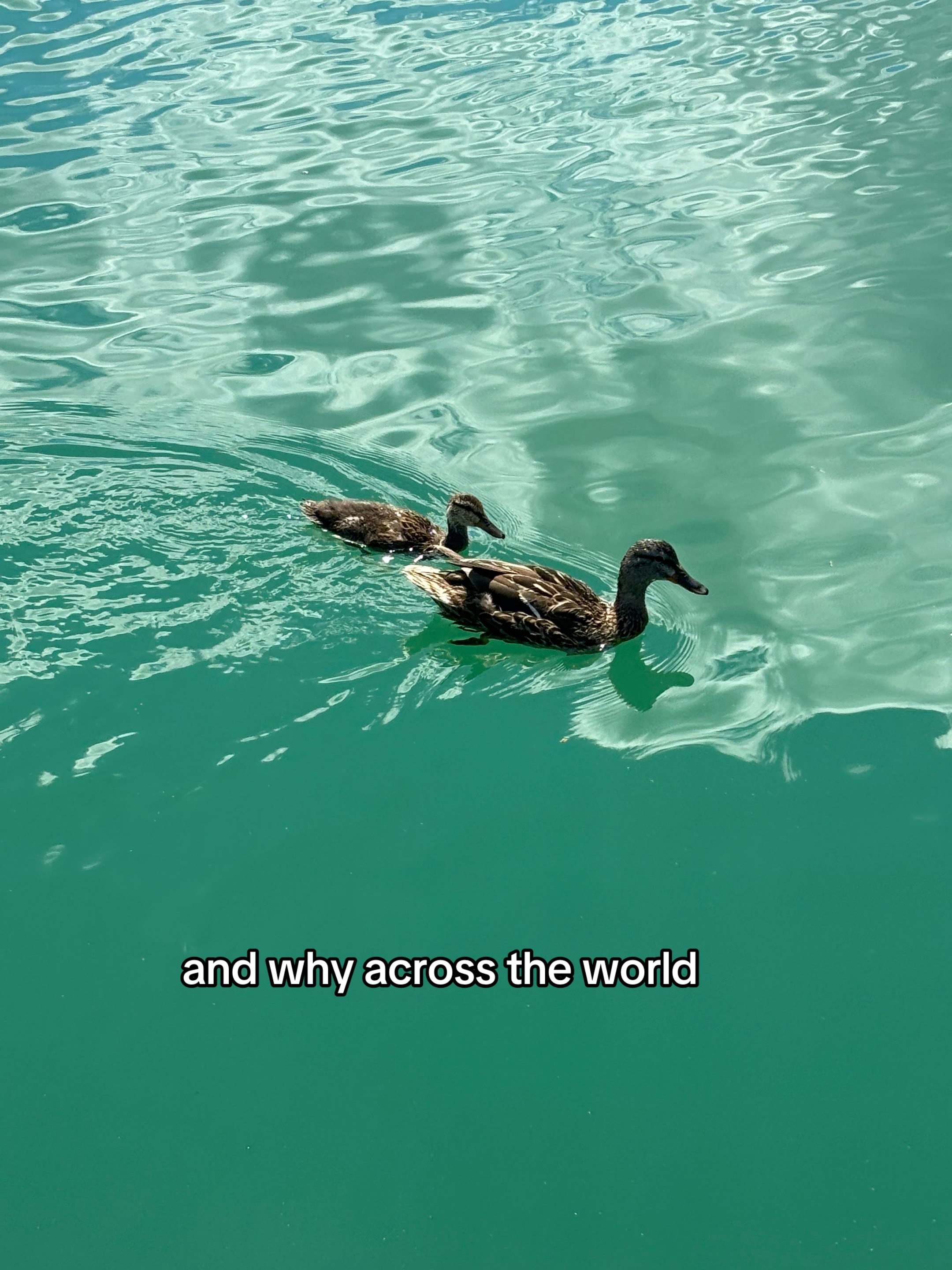@Zoe