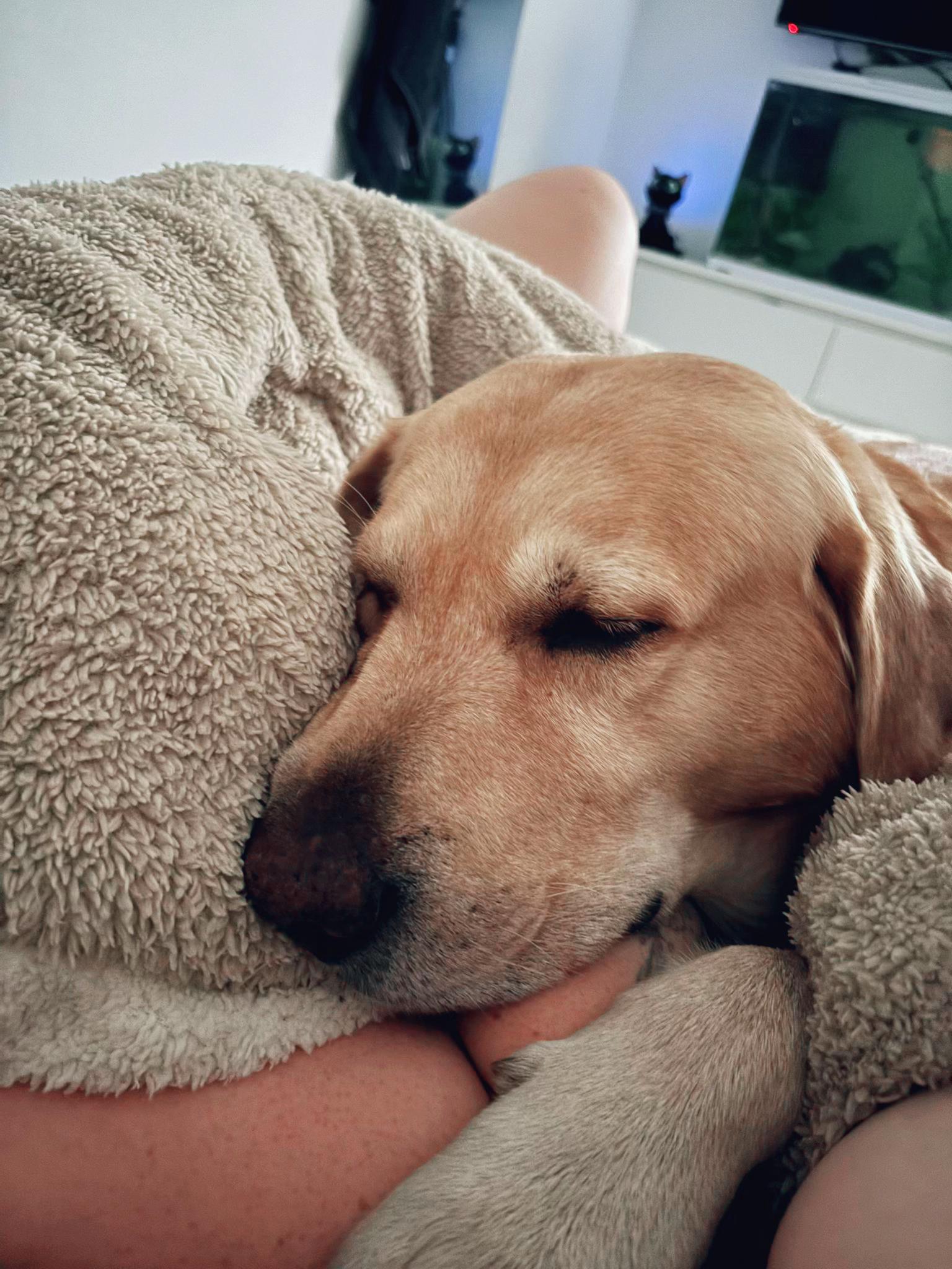 @Marley..🐾❤️
