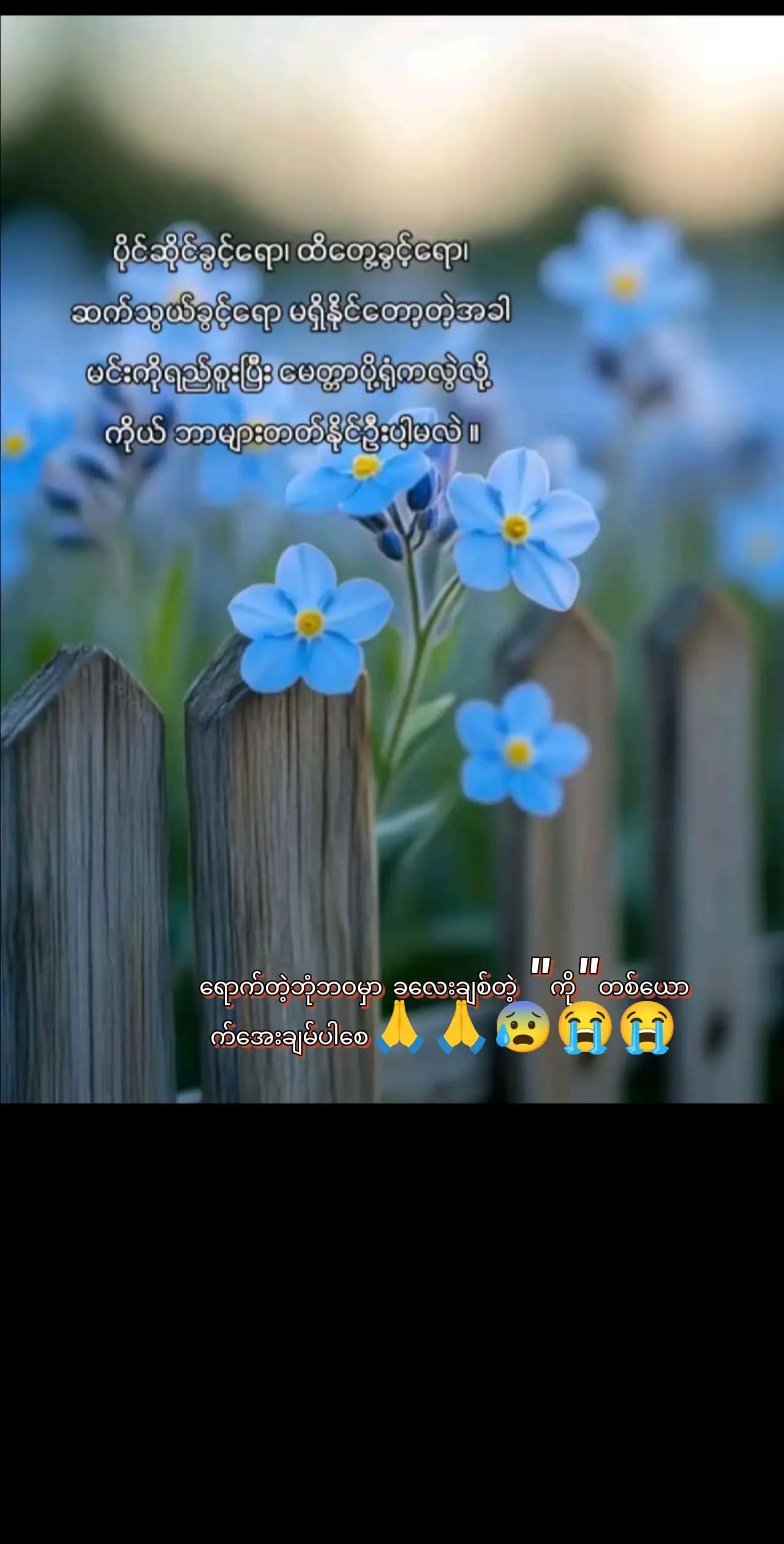 @đżKay Thi Khaingđż(ááŒá°ážáá°áá±áž)