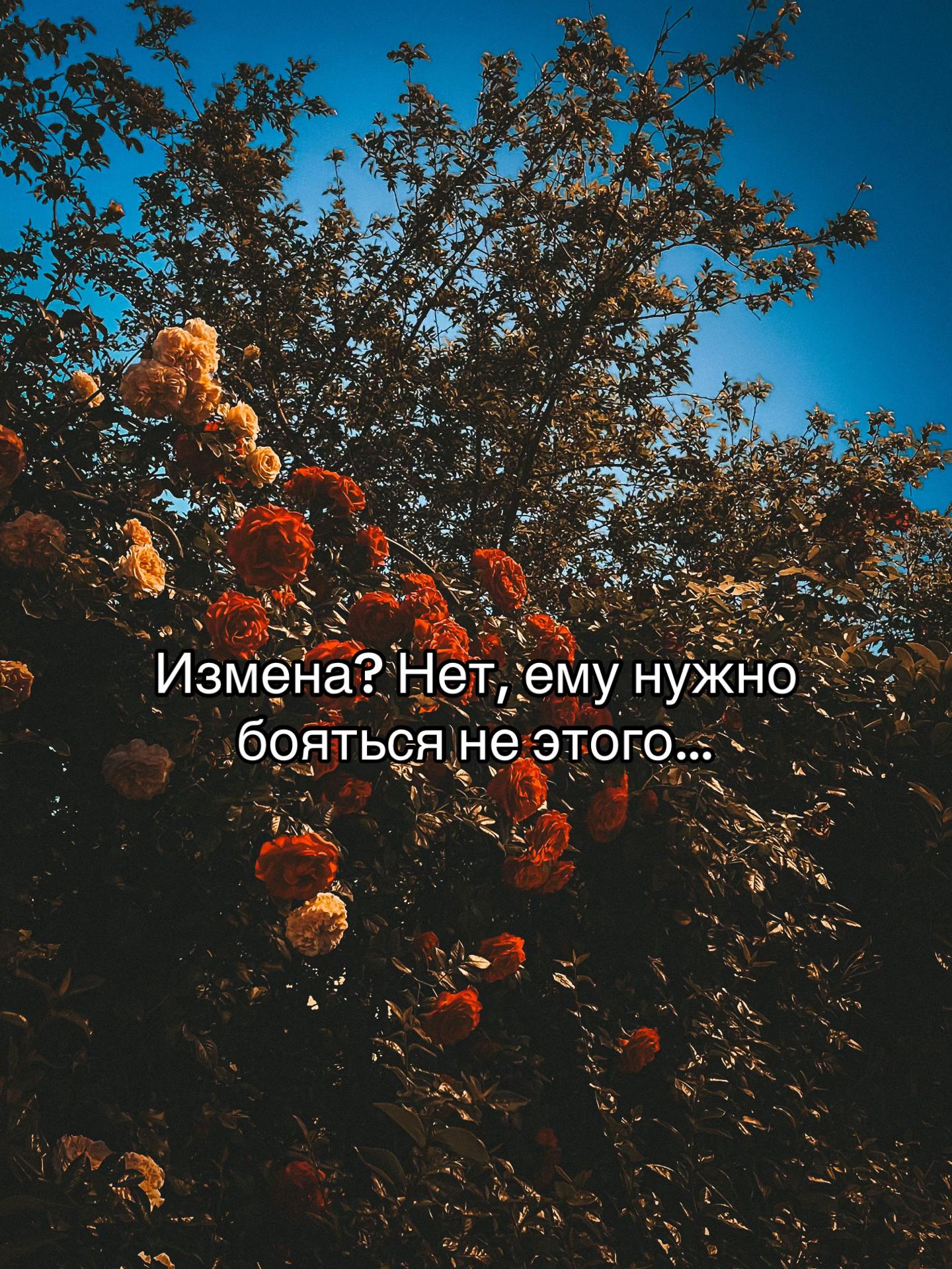 @Яночка Сергеевна