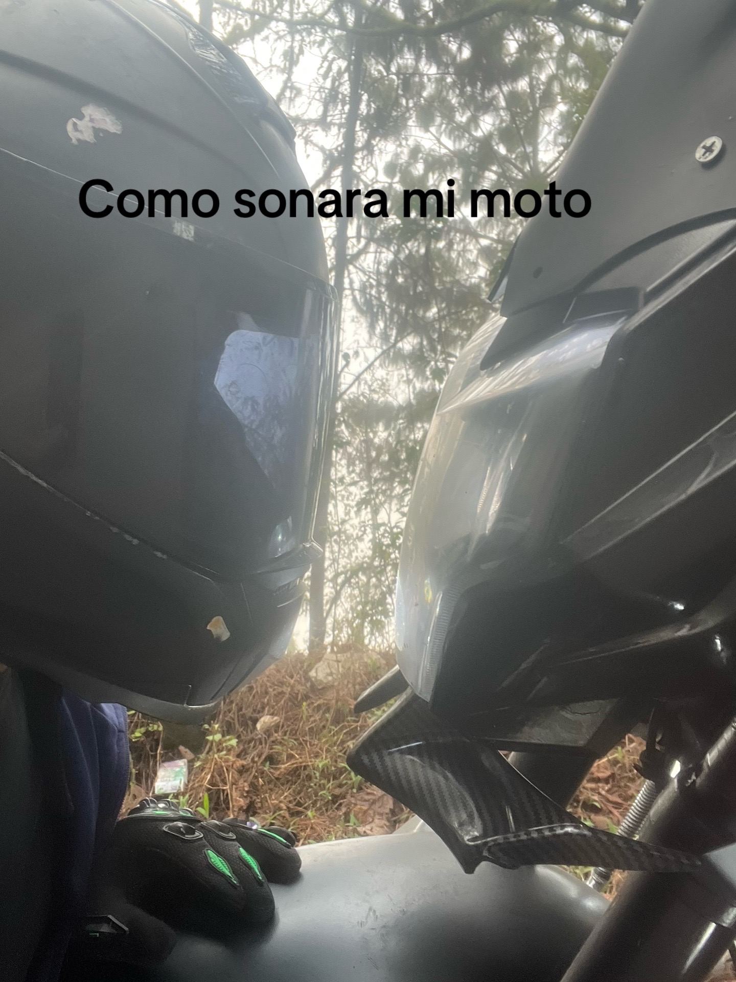 @pedro