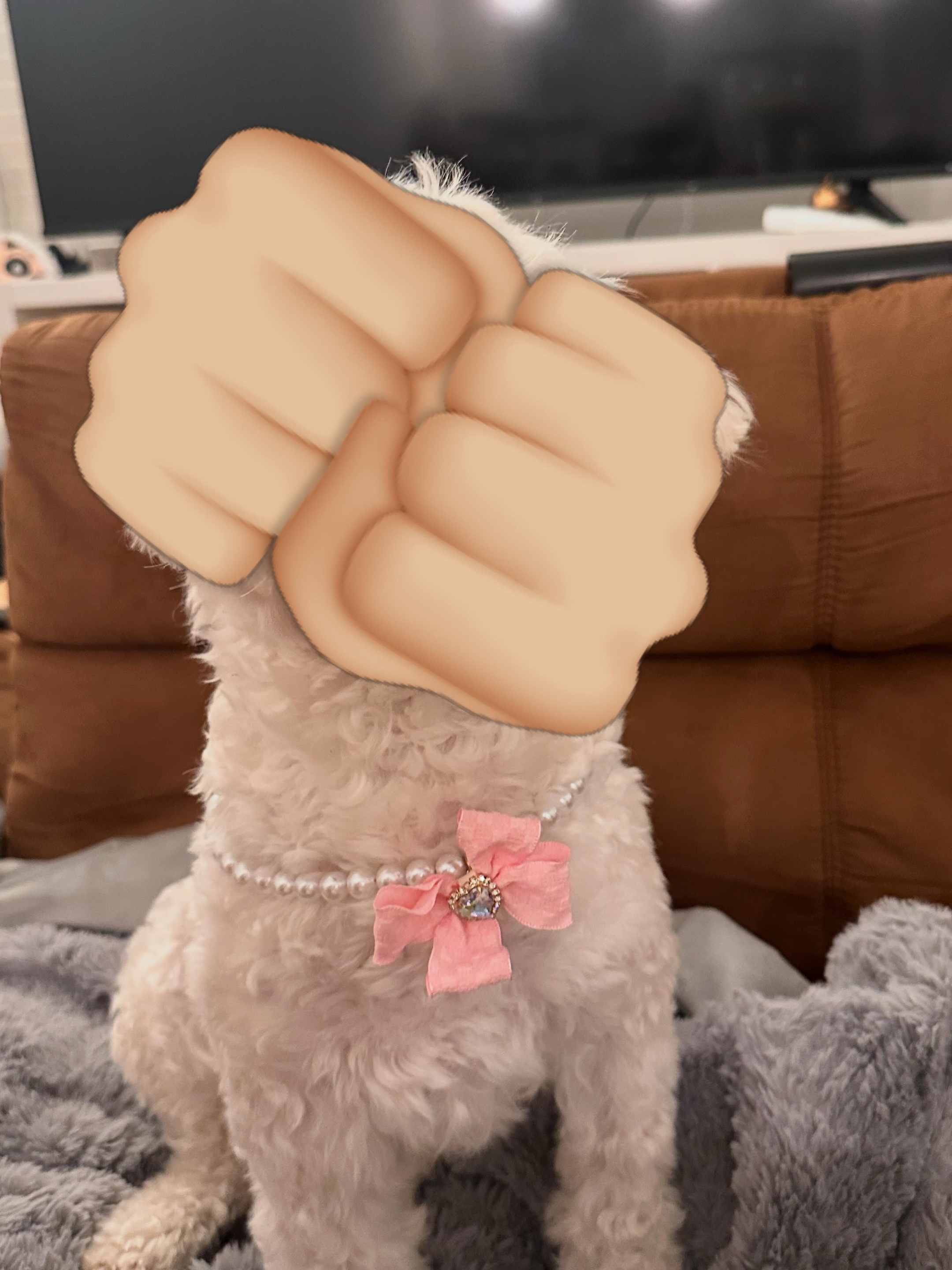 @laura ᡣ • . • 𐭩 ♡