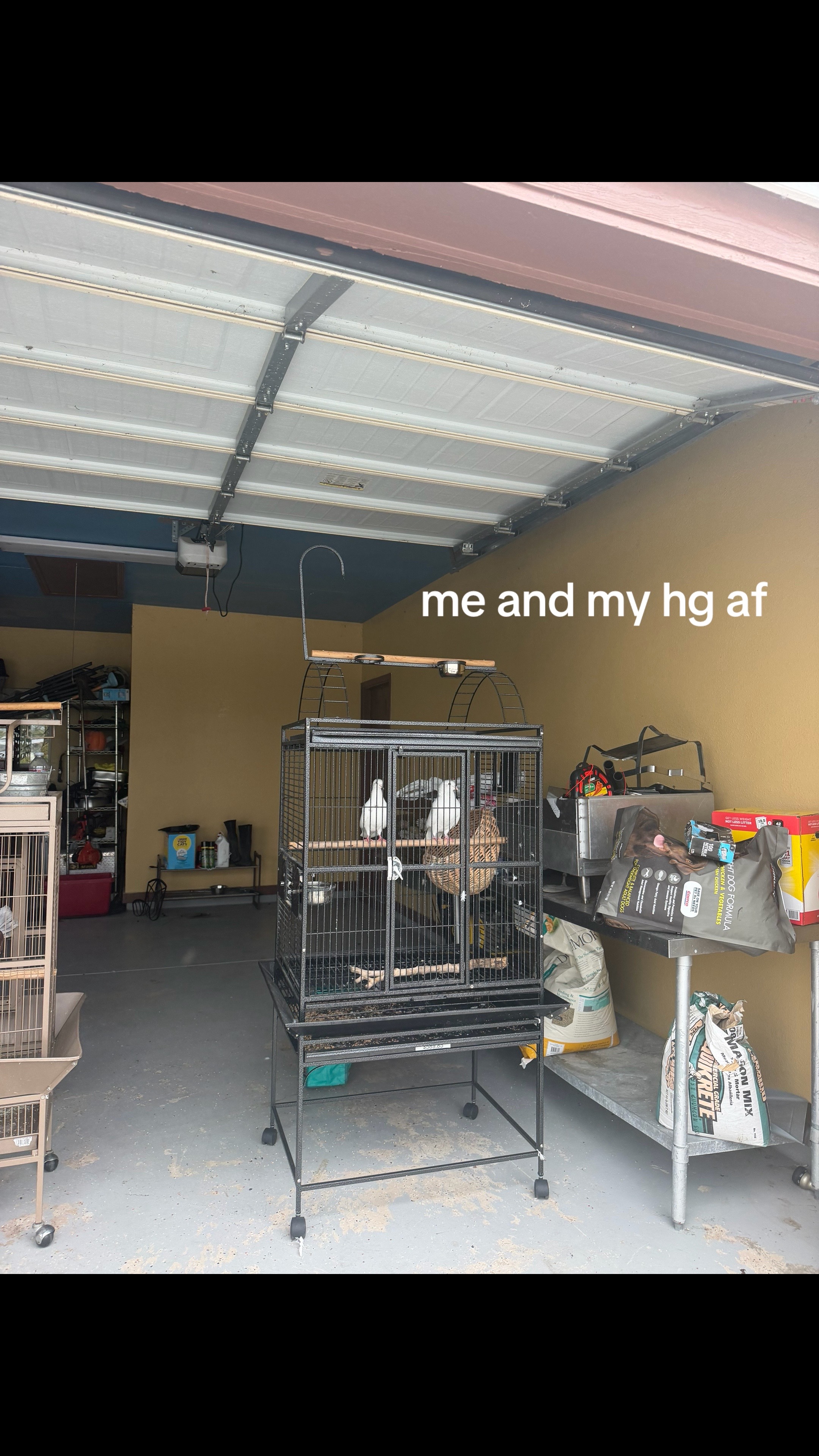 @sauceydoph