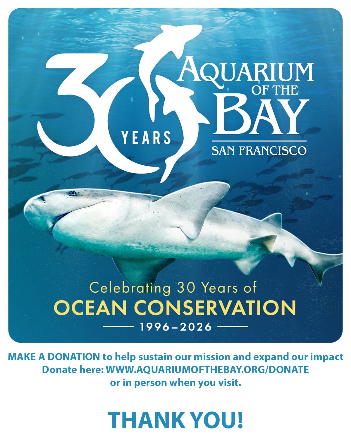 @Aquarium of the Bay