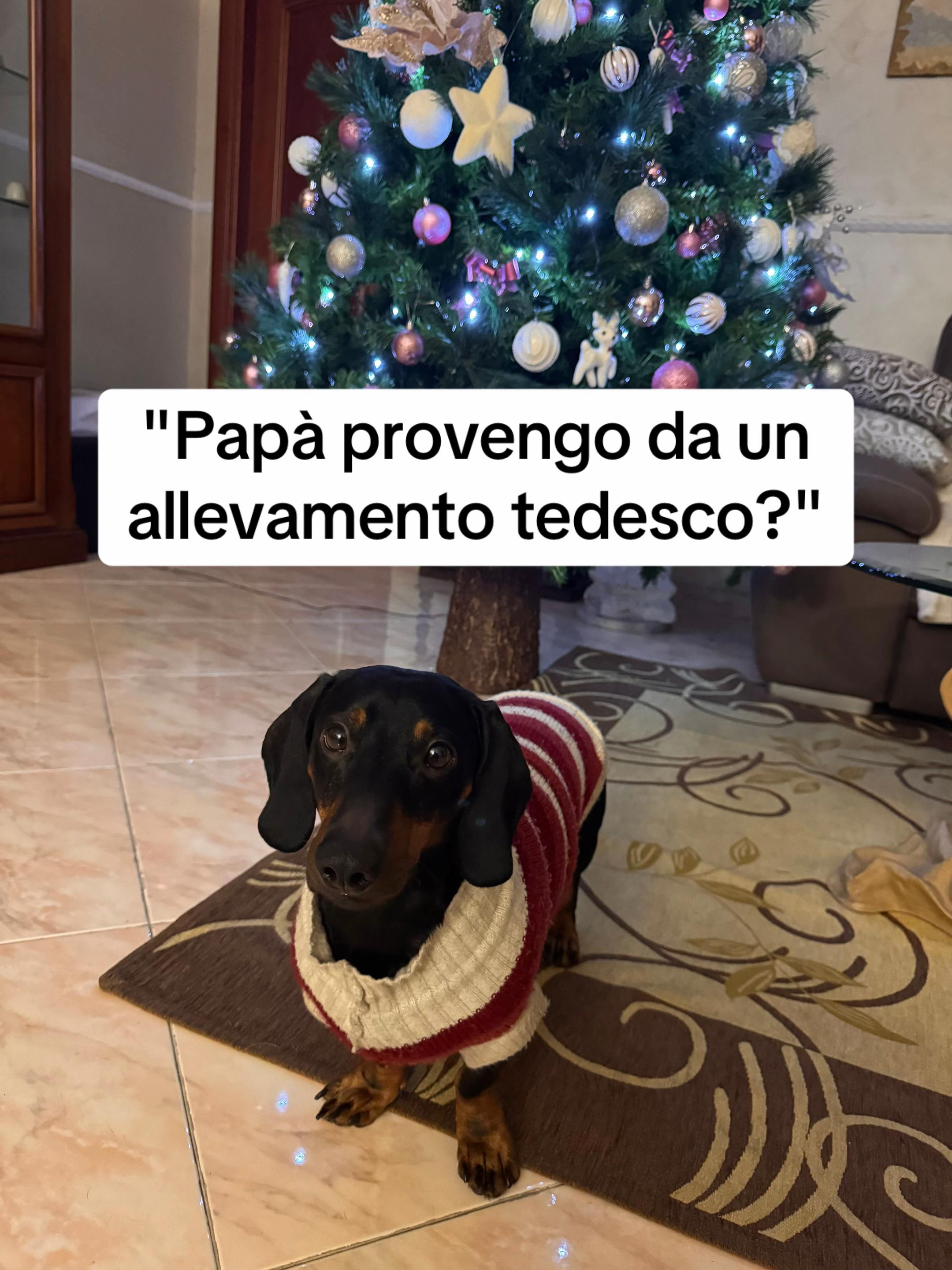 @antigaetano