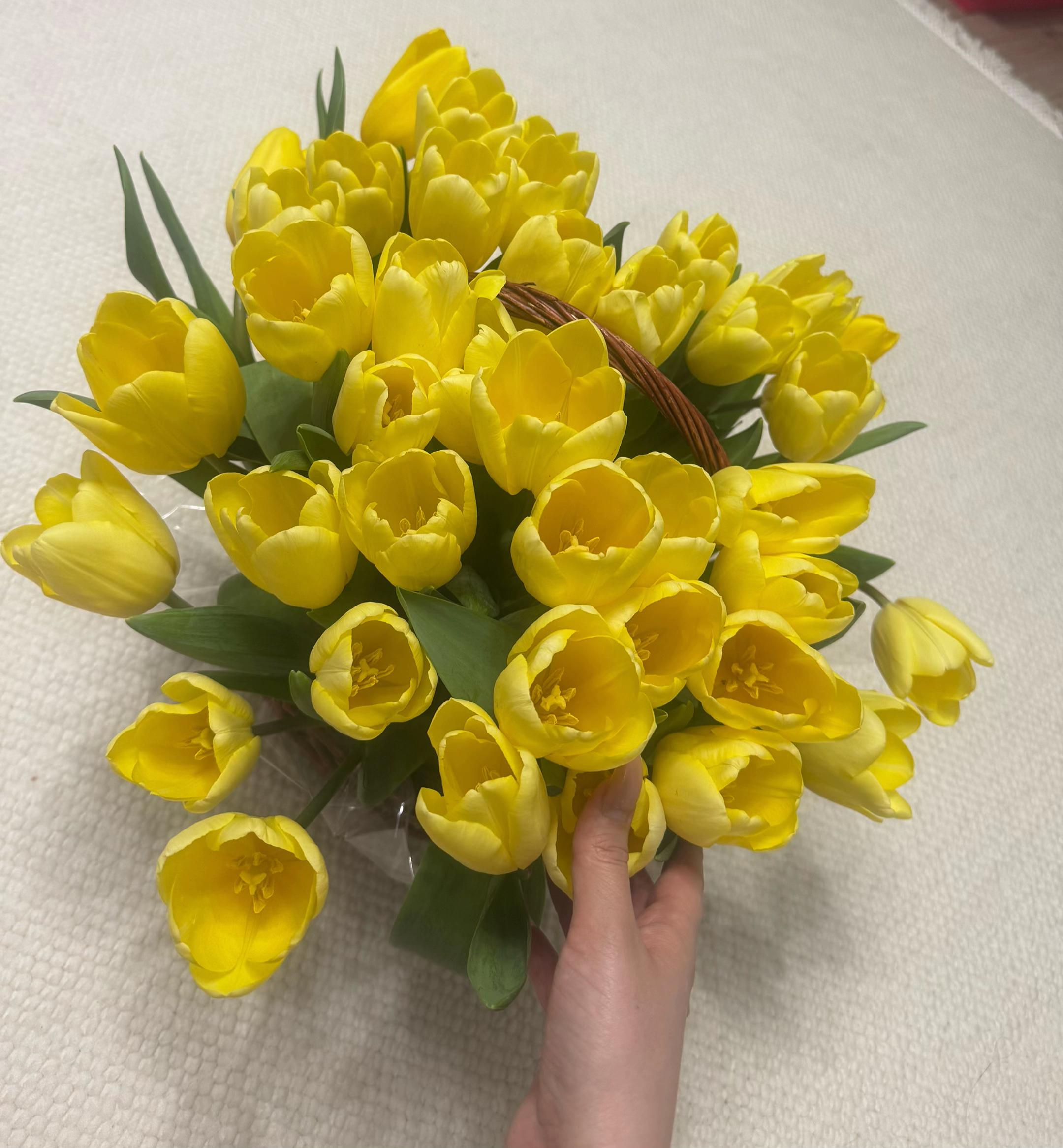 @𝓐𝓵𝓲𝓷𝓪