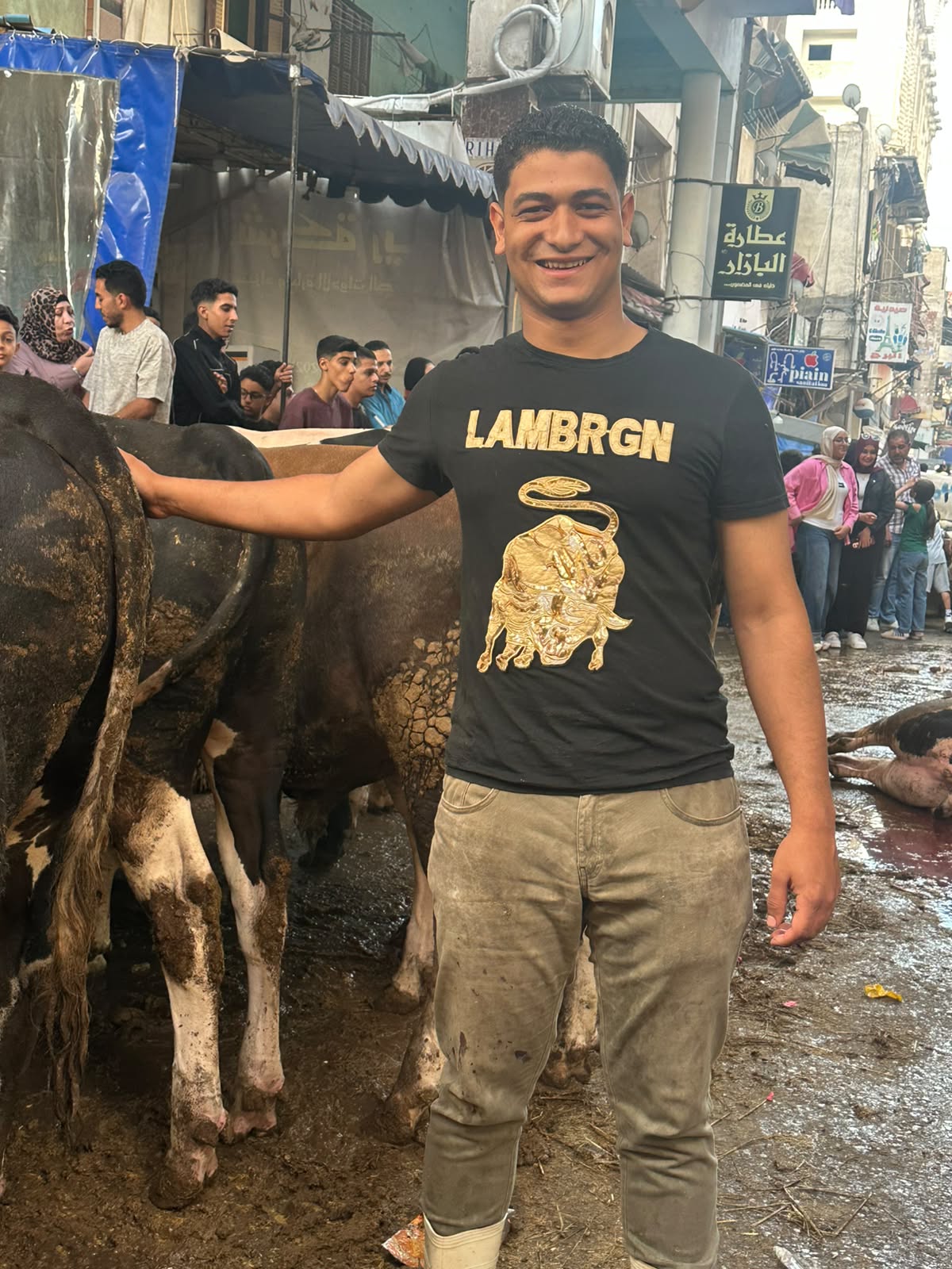 @الجمل