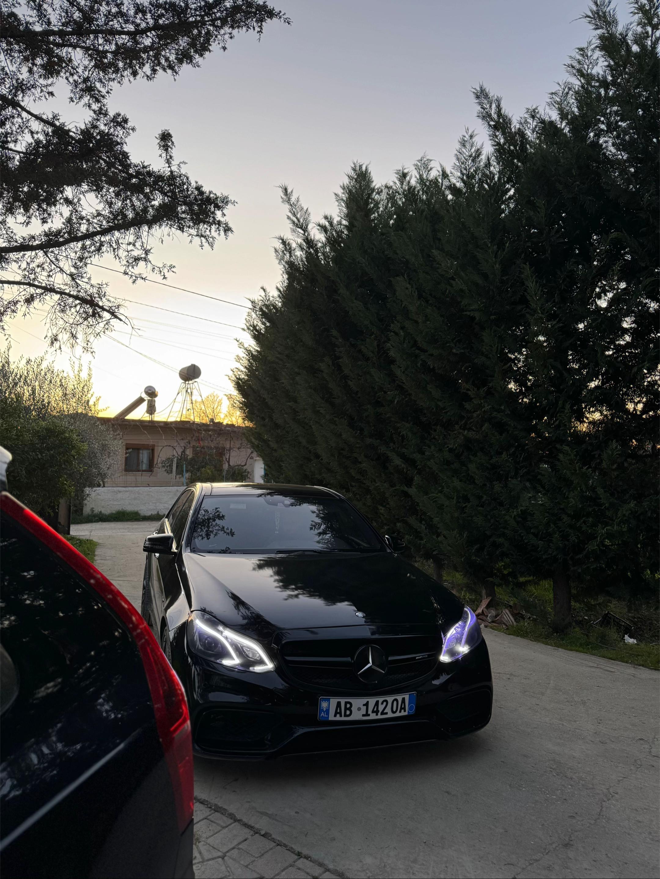 @Lavio🦈