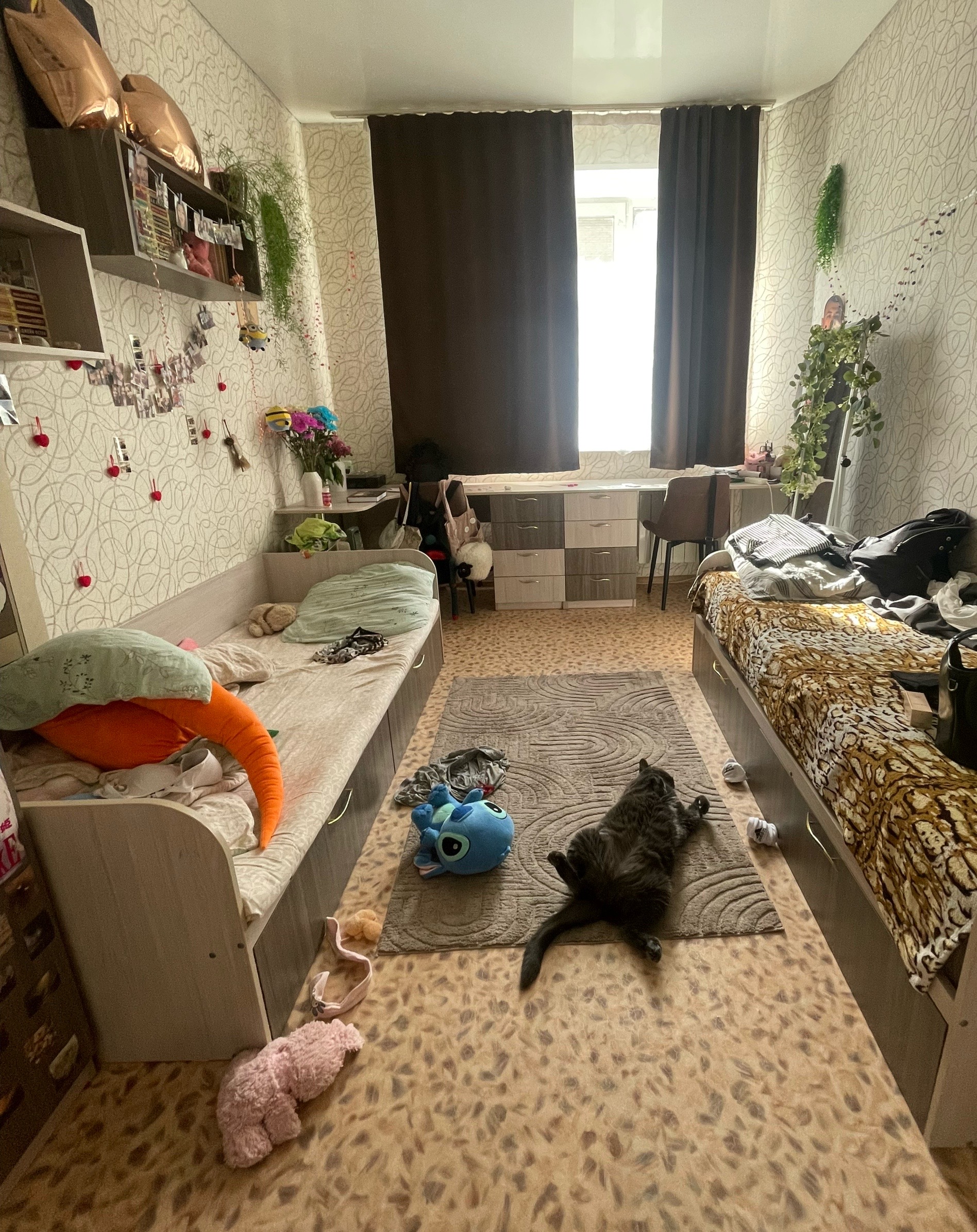 @вова адидас
