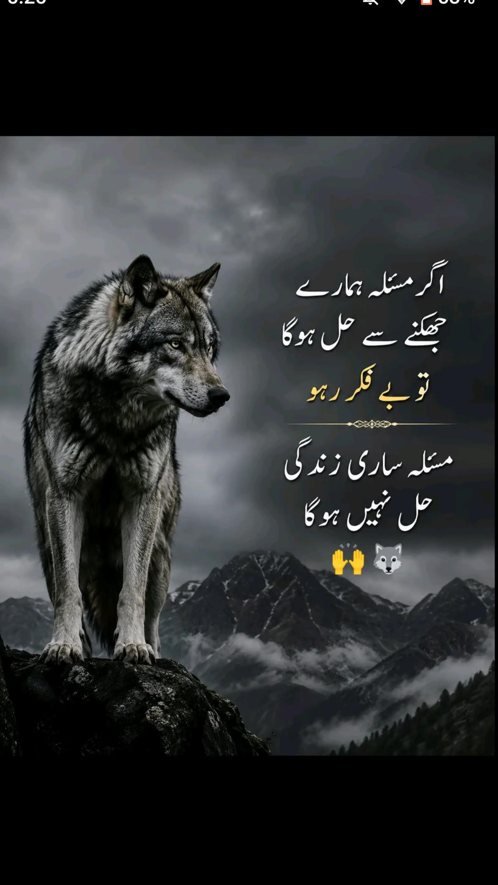 @Mr. Ali $