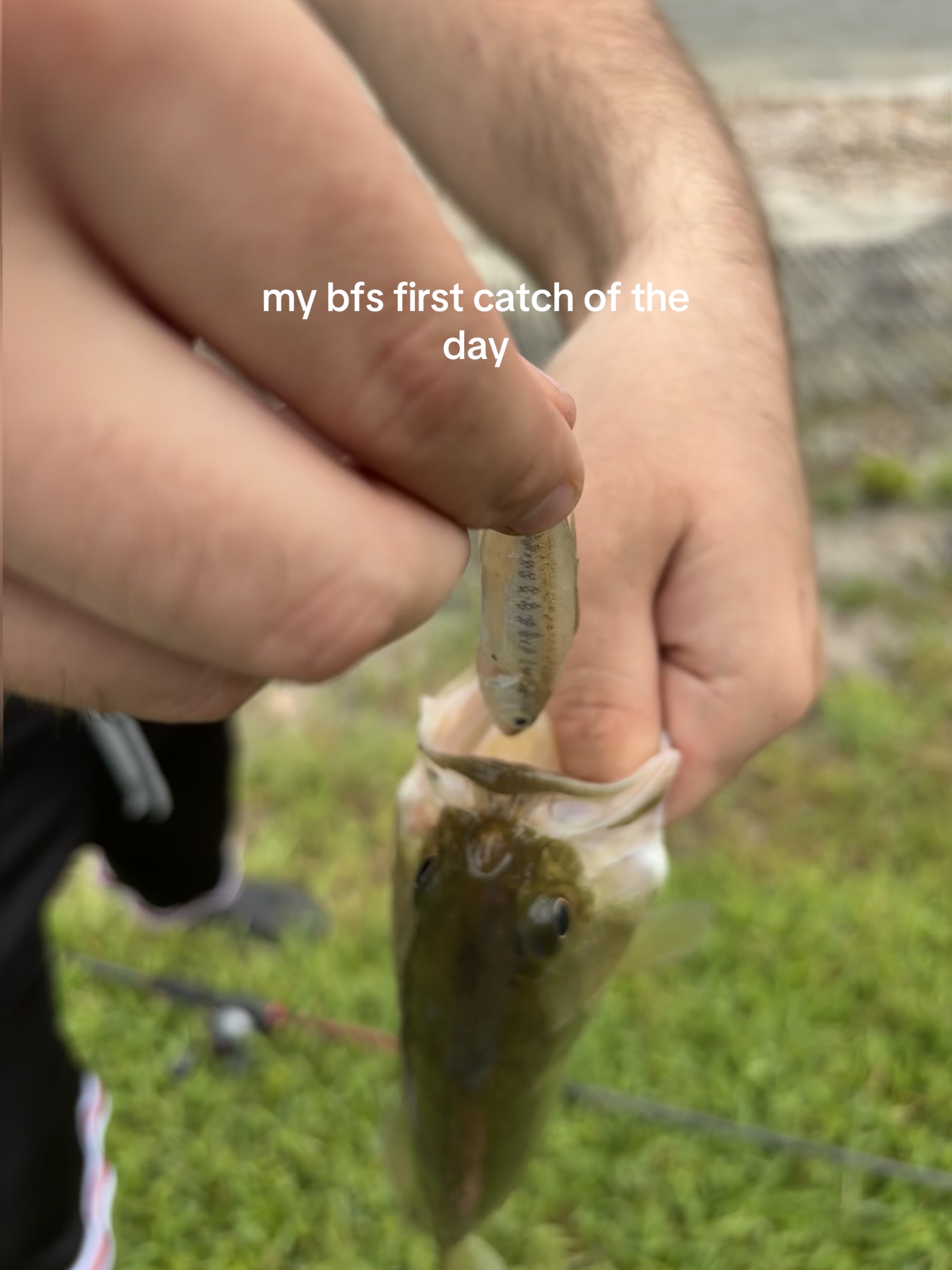 @ミ★ 𝘒𝘳𝘺 ★彡