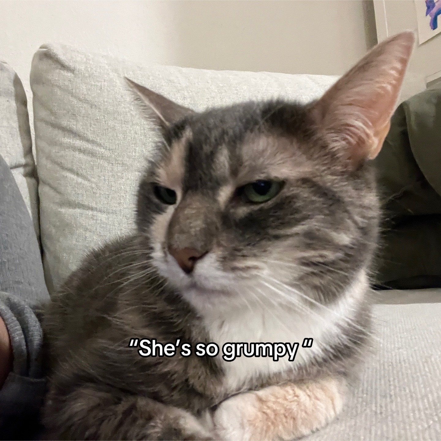 @Shorty