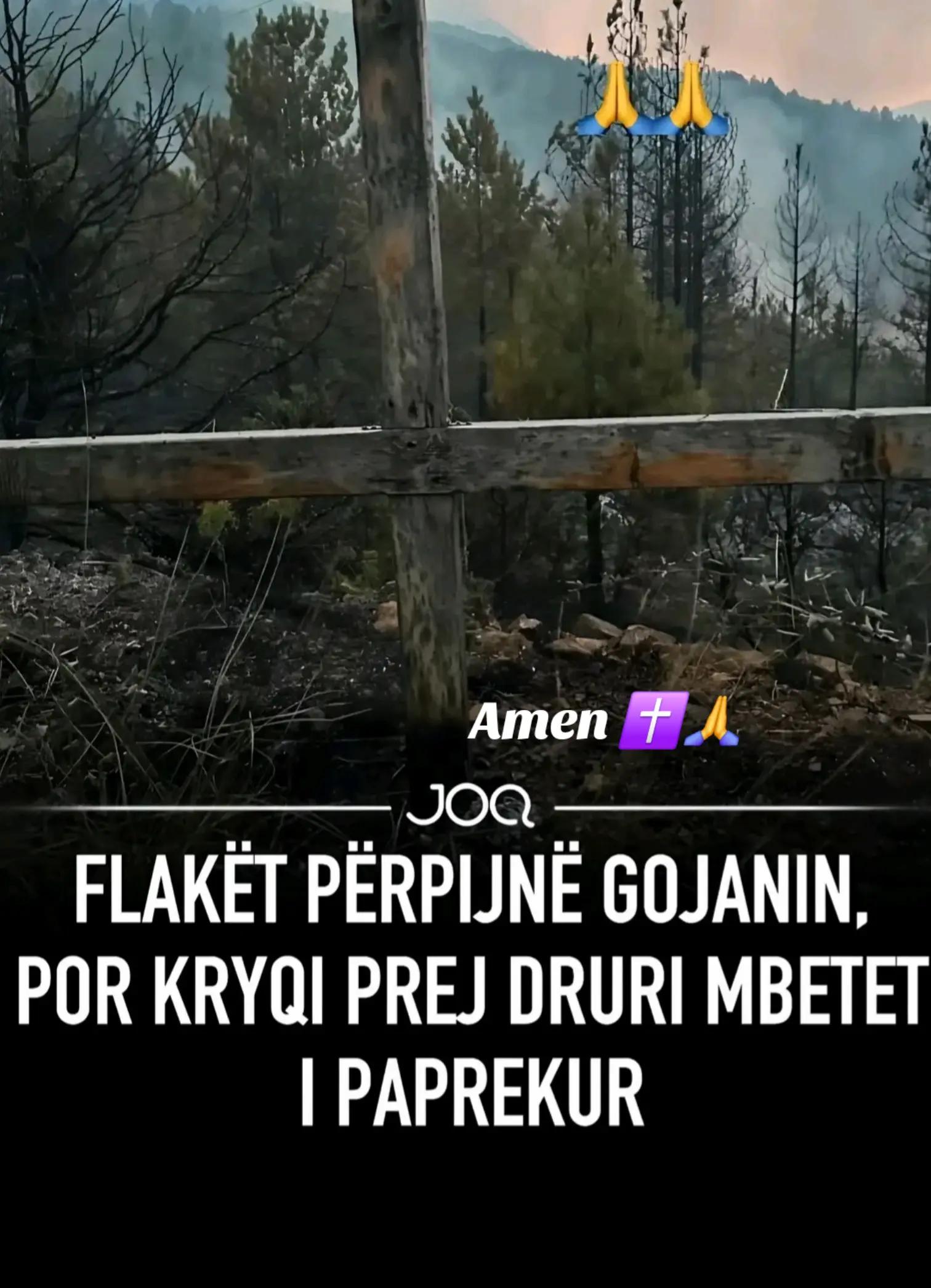 @luna ✝️🇦🇱