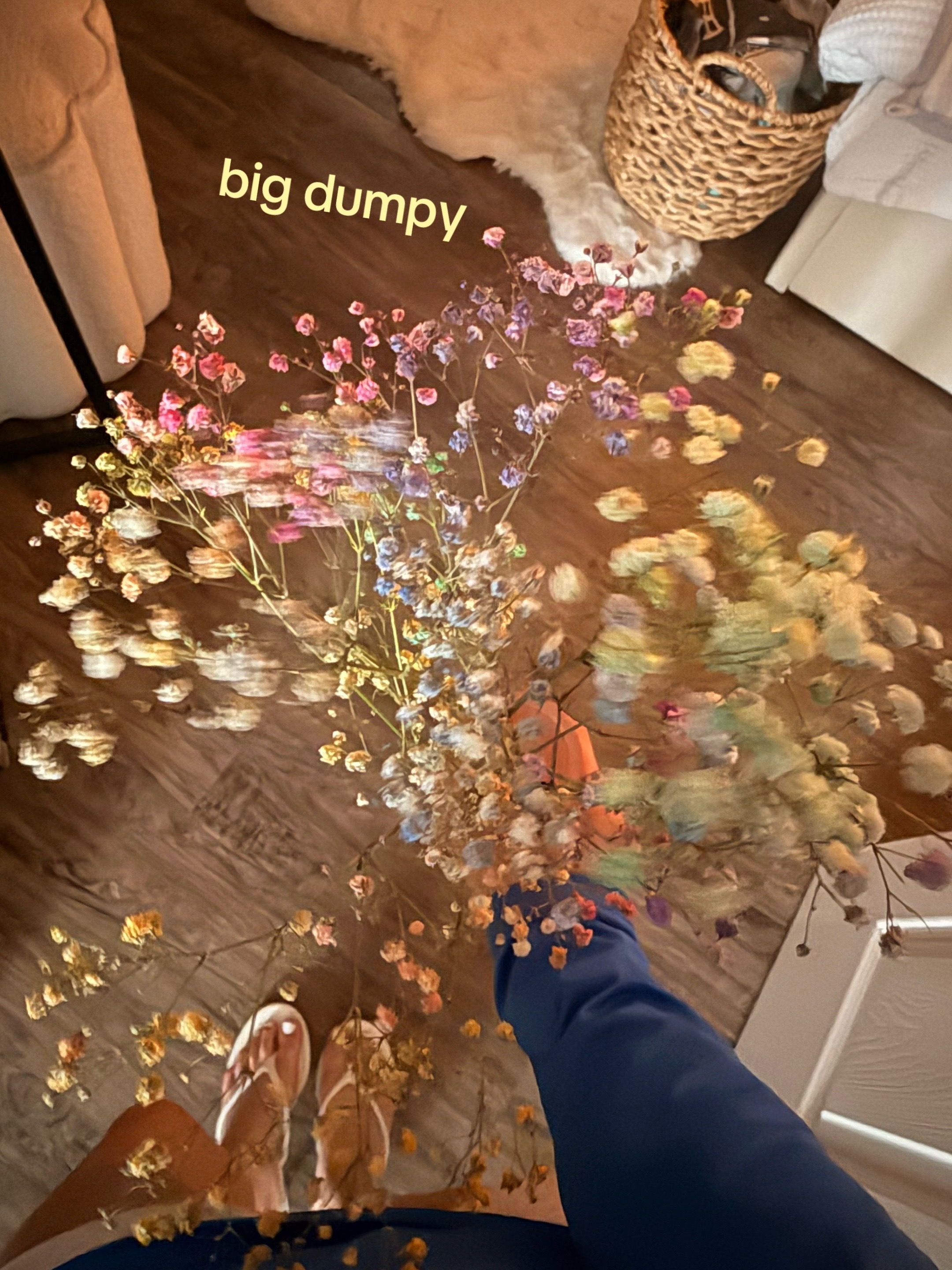@ᥫ᭡.
