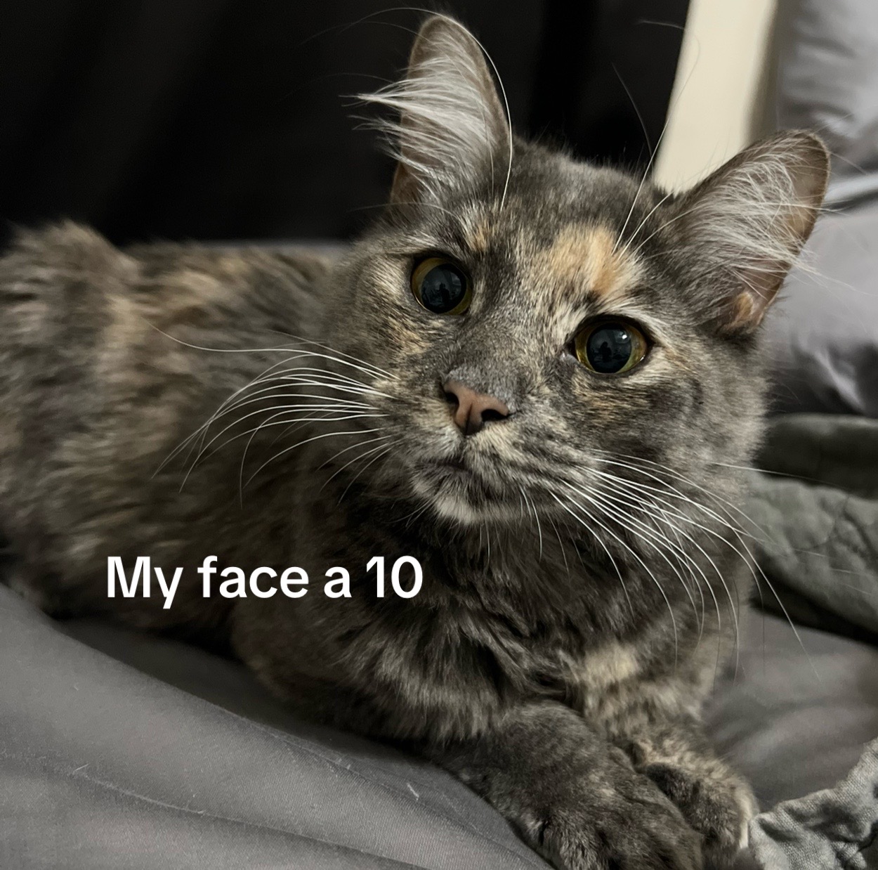 @Caseyy