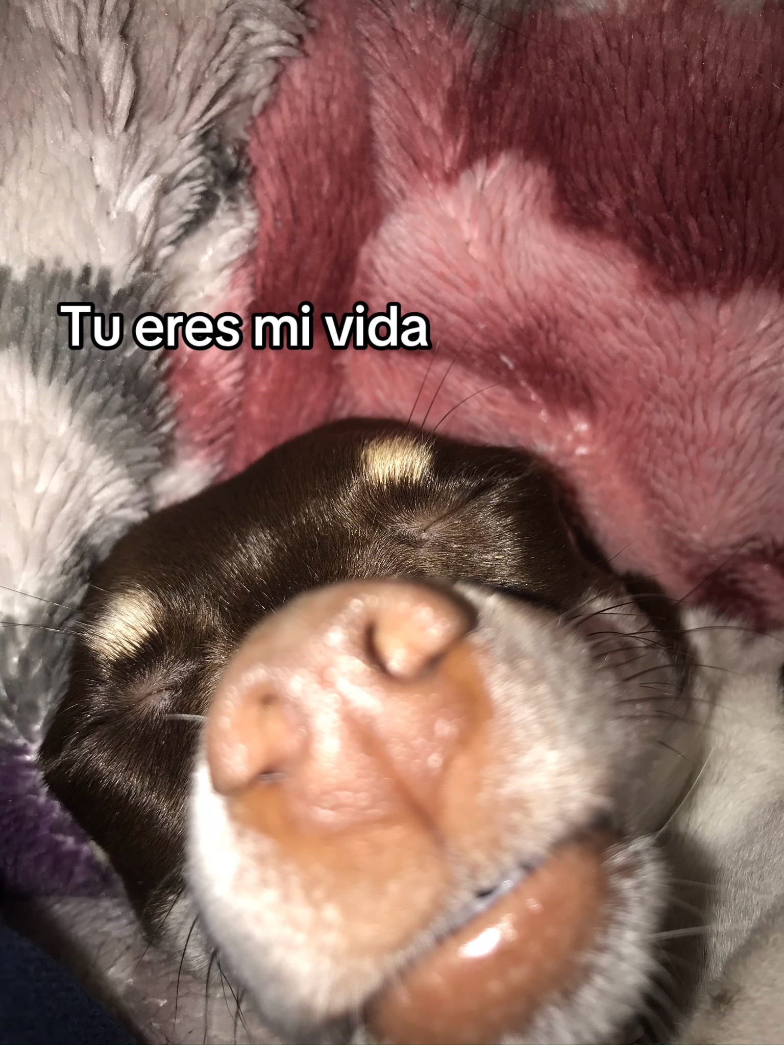 @joanna