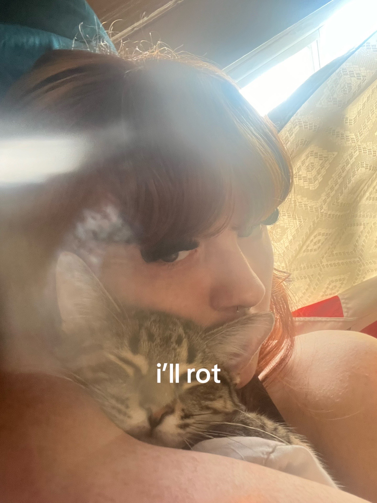 @gingertitus