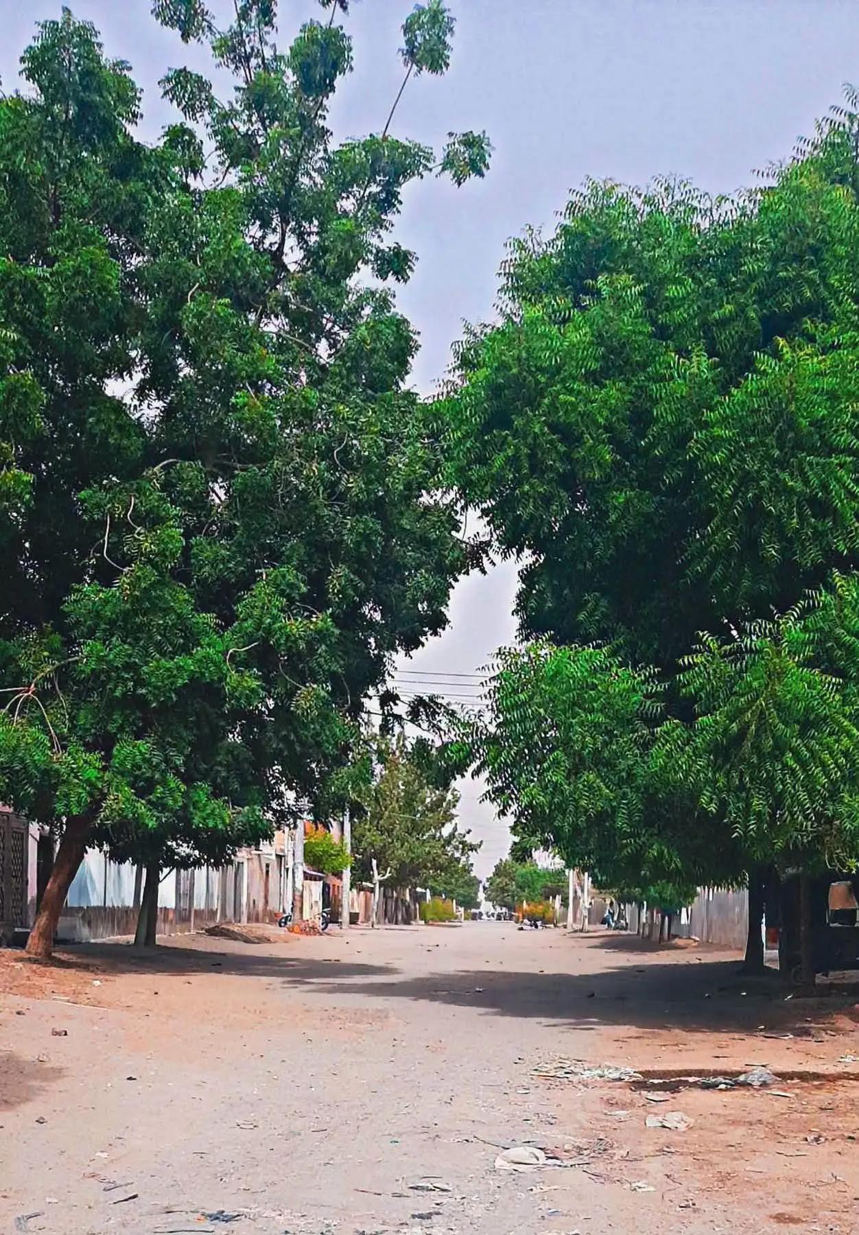 @ودالعوض الشكري