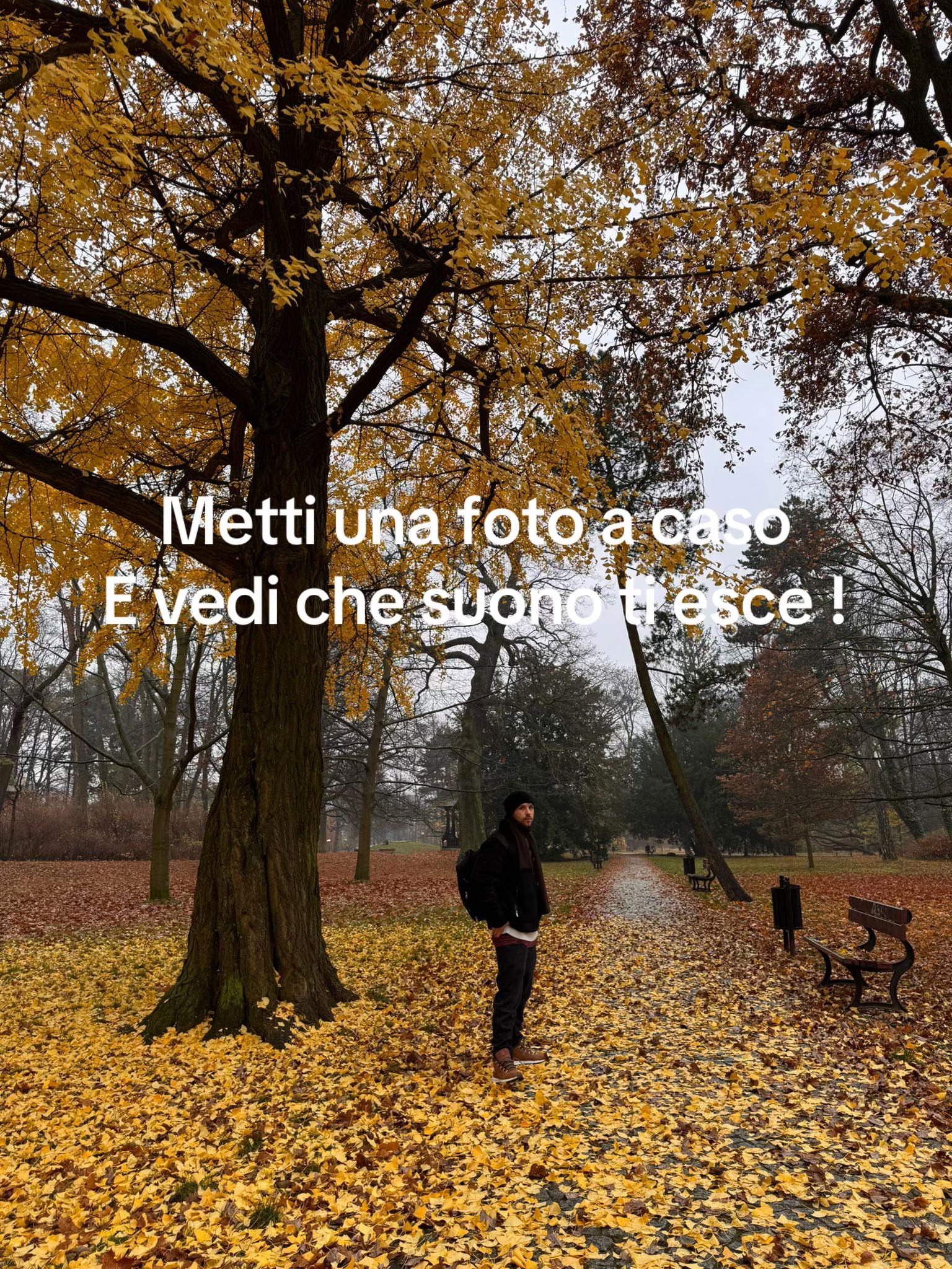 @Ruggiero Servidio