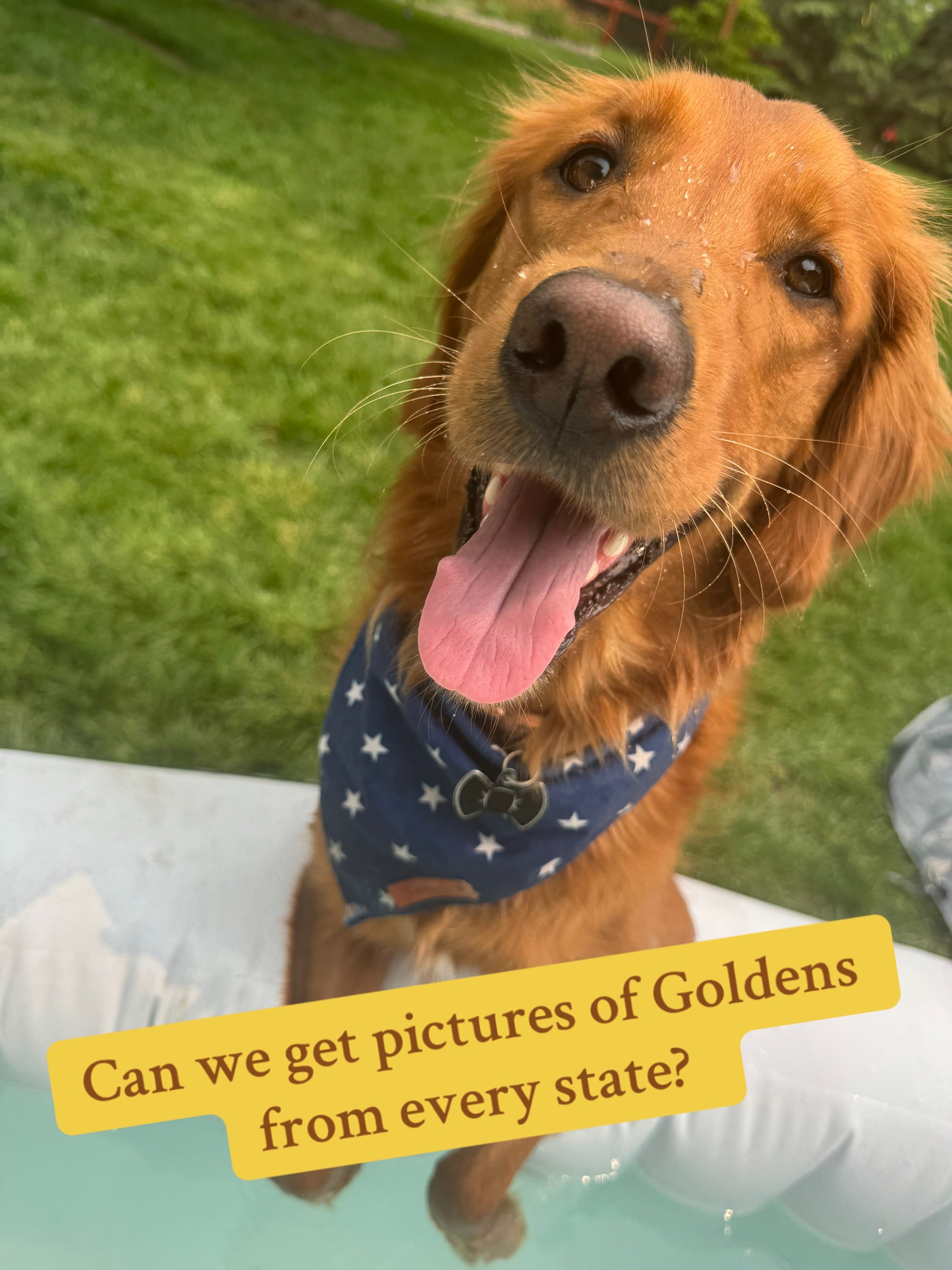@Golden Life 💛 🐾
