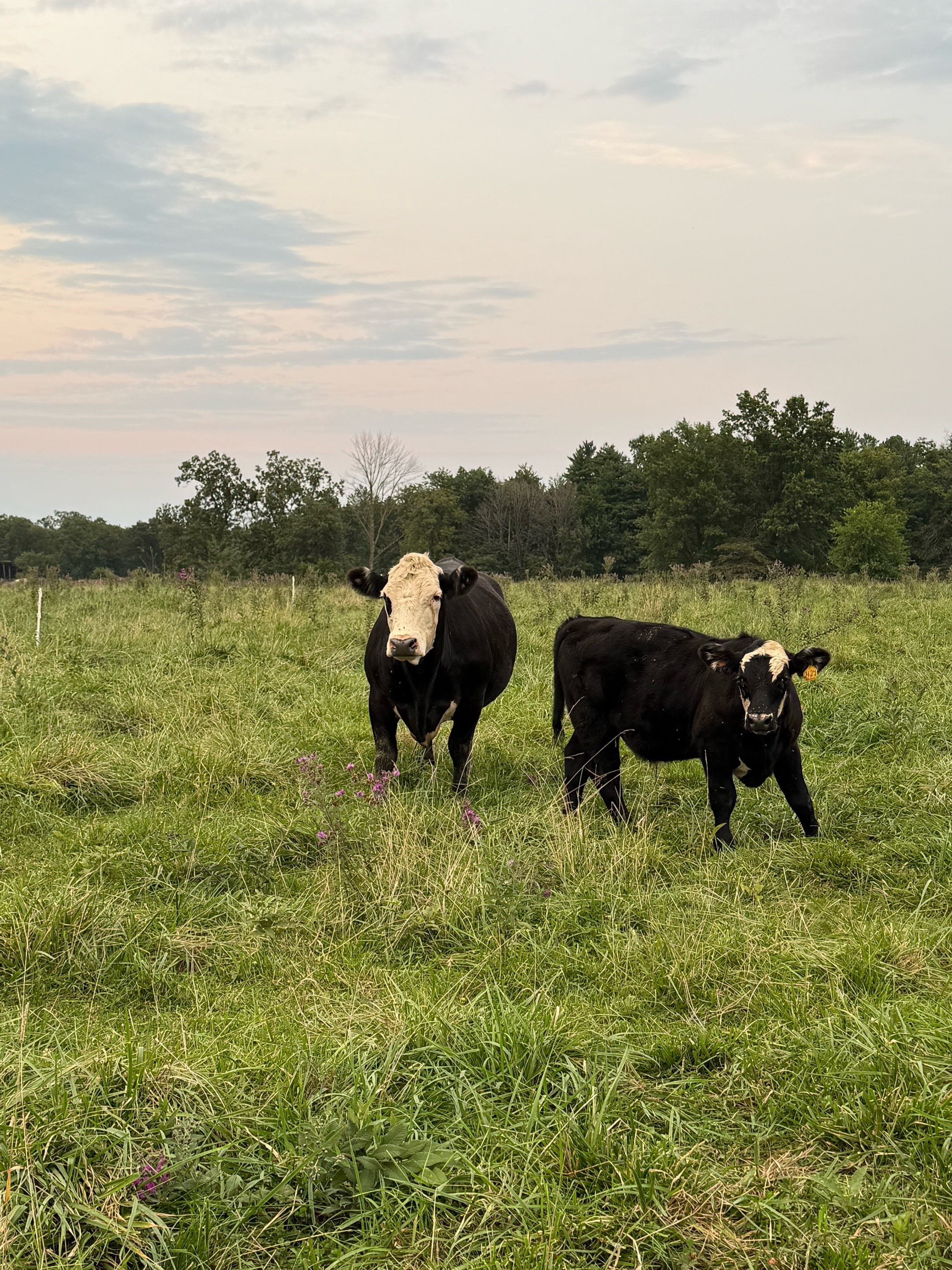 @kl2farms