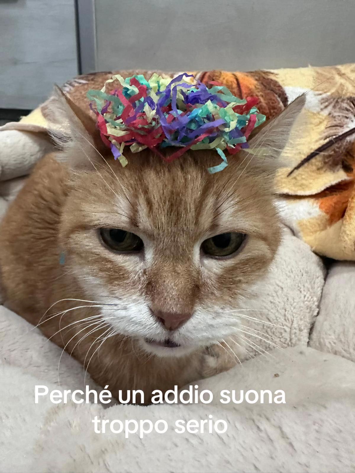 @mery
