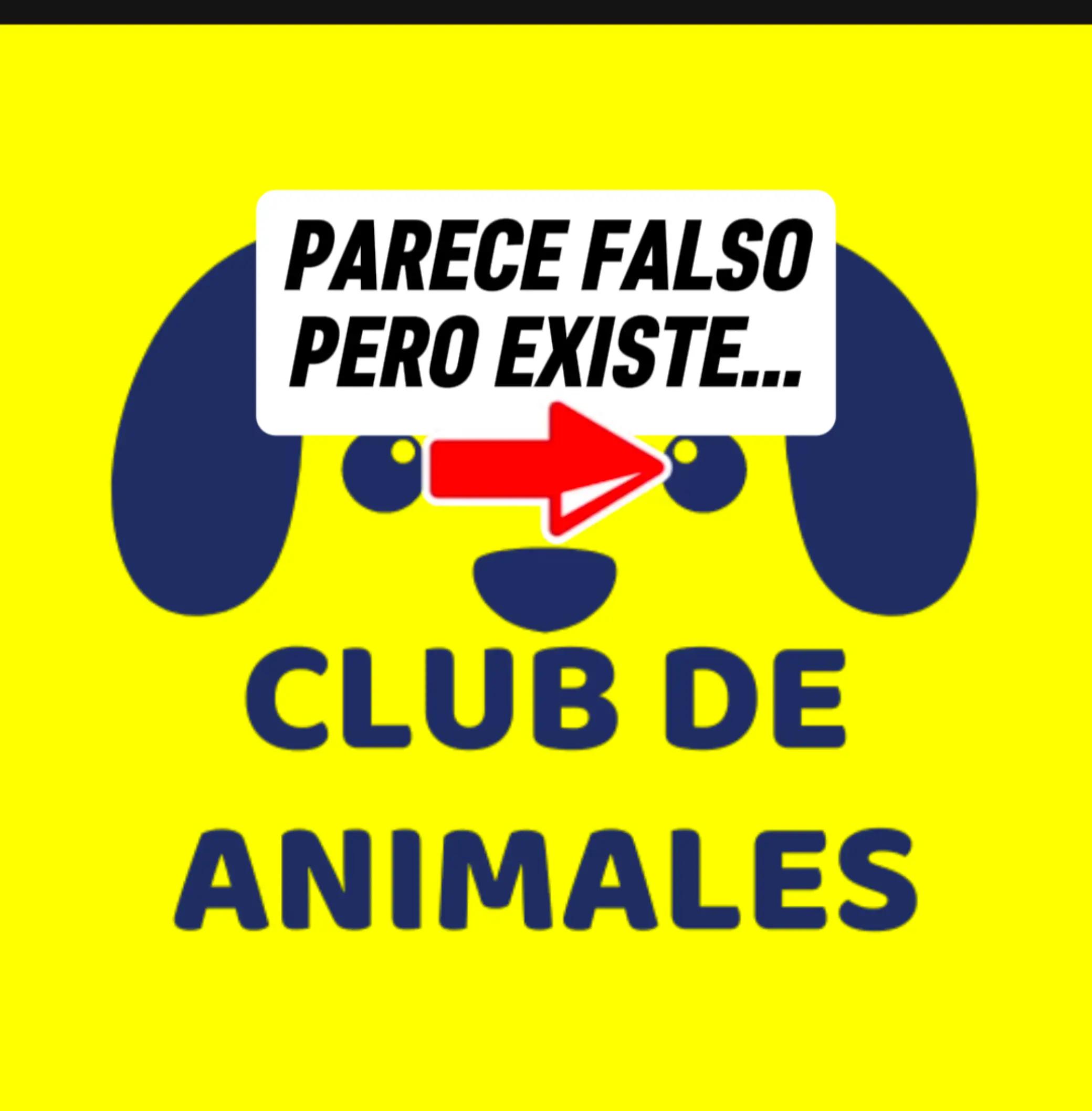 @CLUB DE ANIMALES