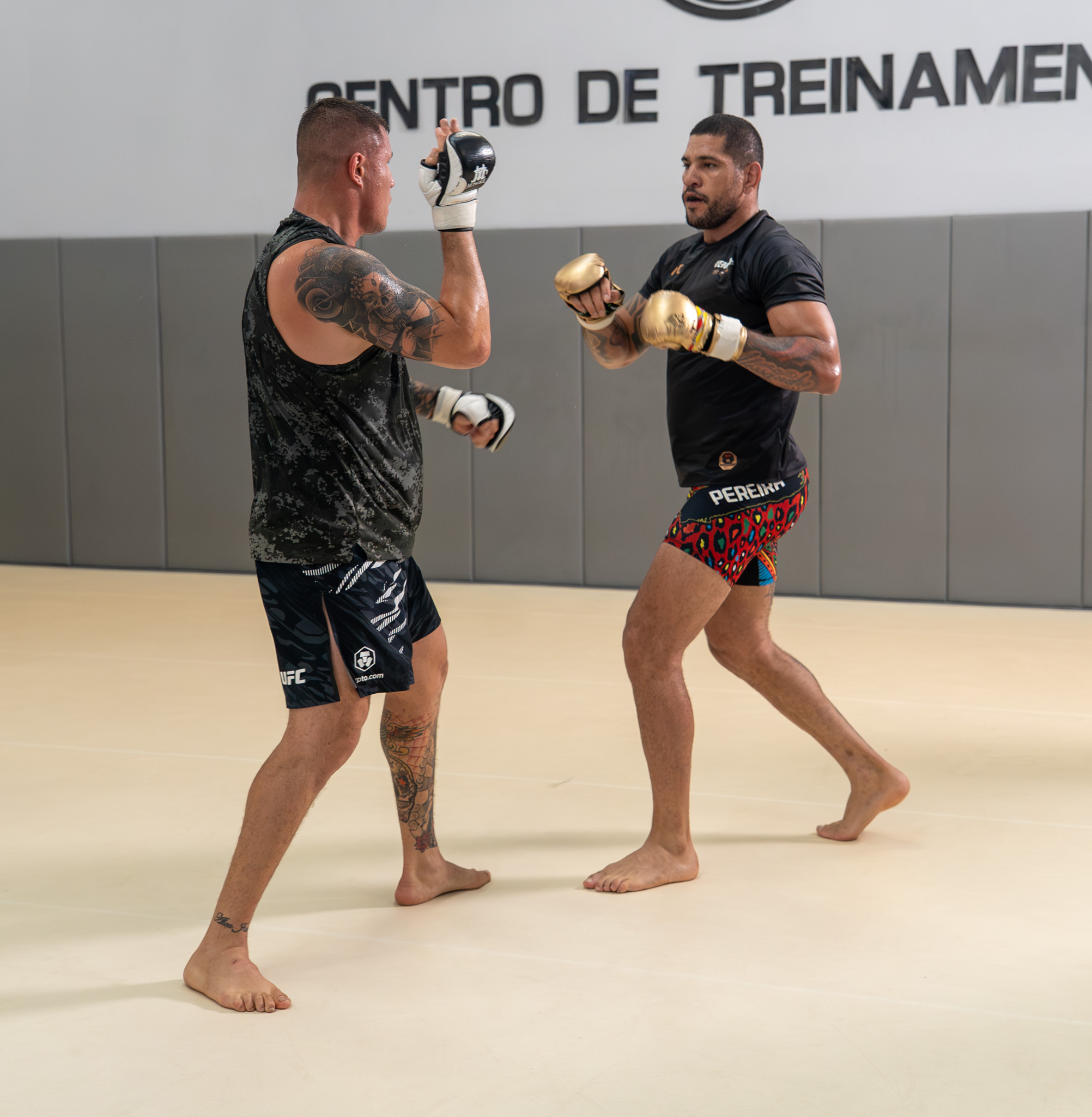 @UFC Brasil