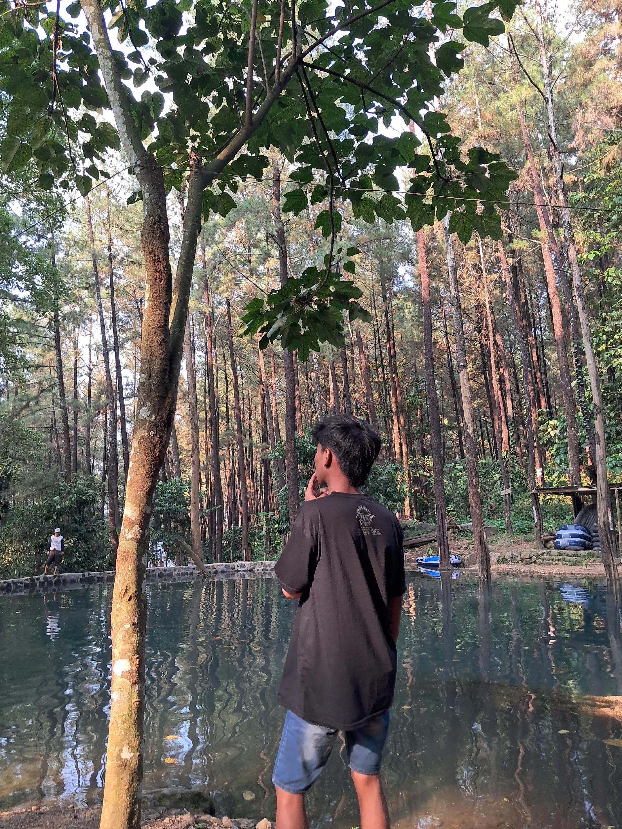 @al.farm¹
