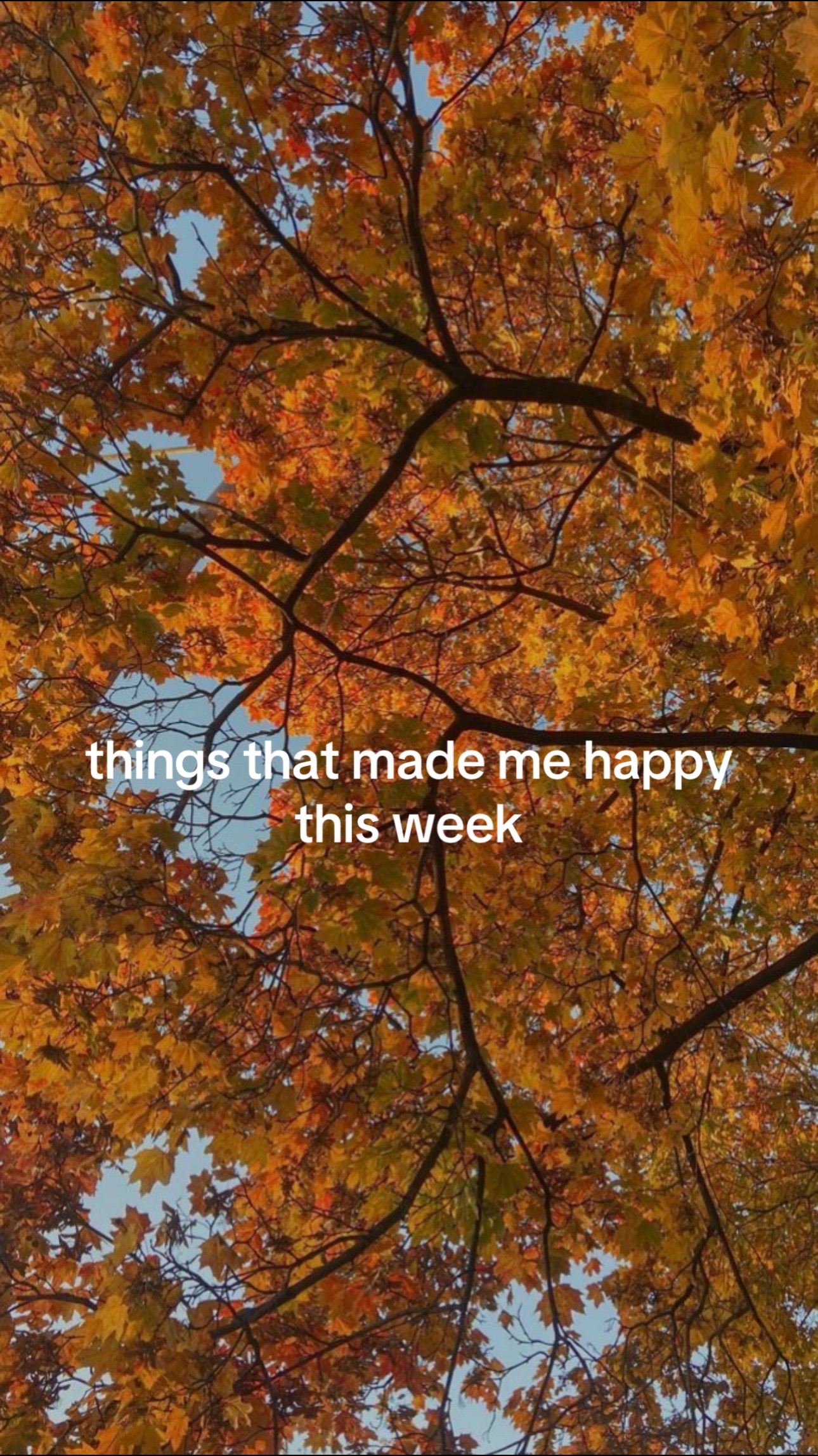 @Nita J