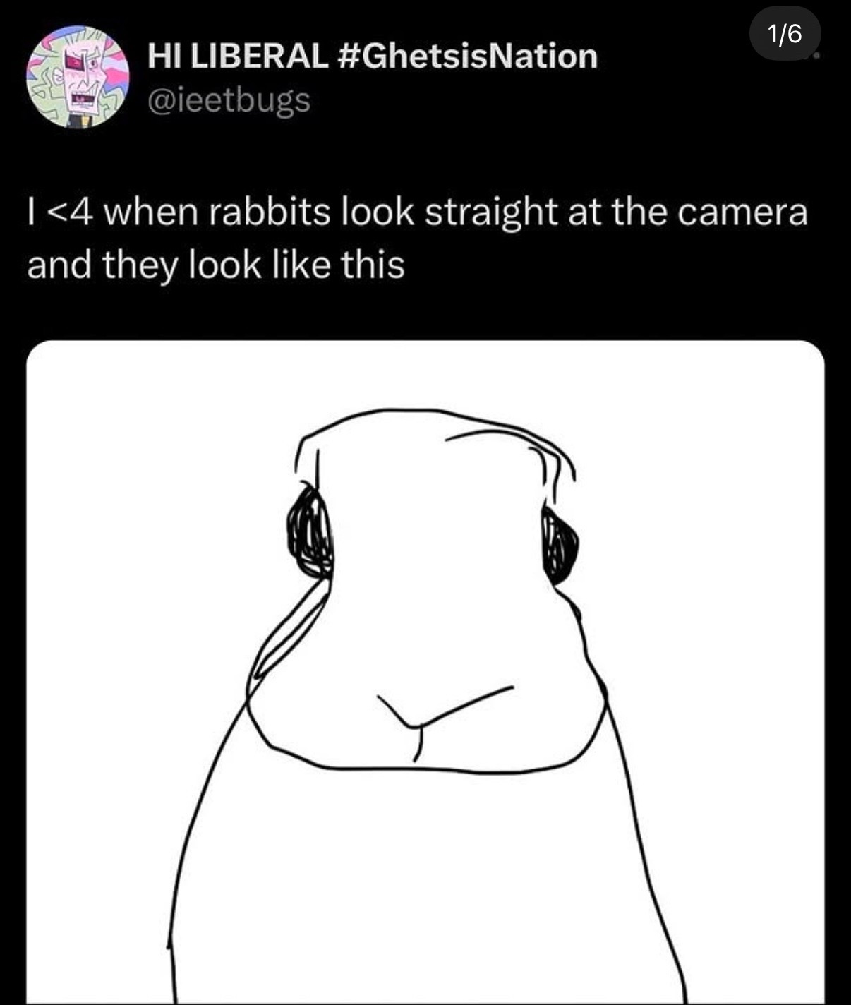 @Otis the Bunny