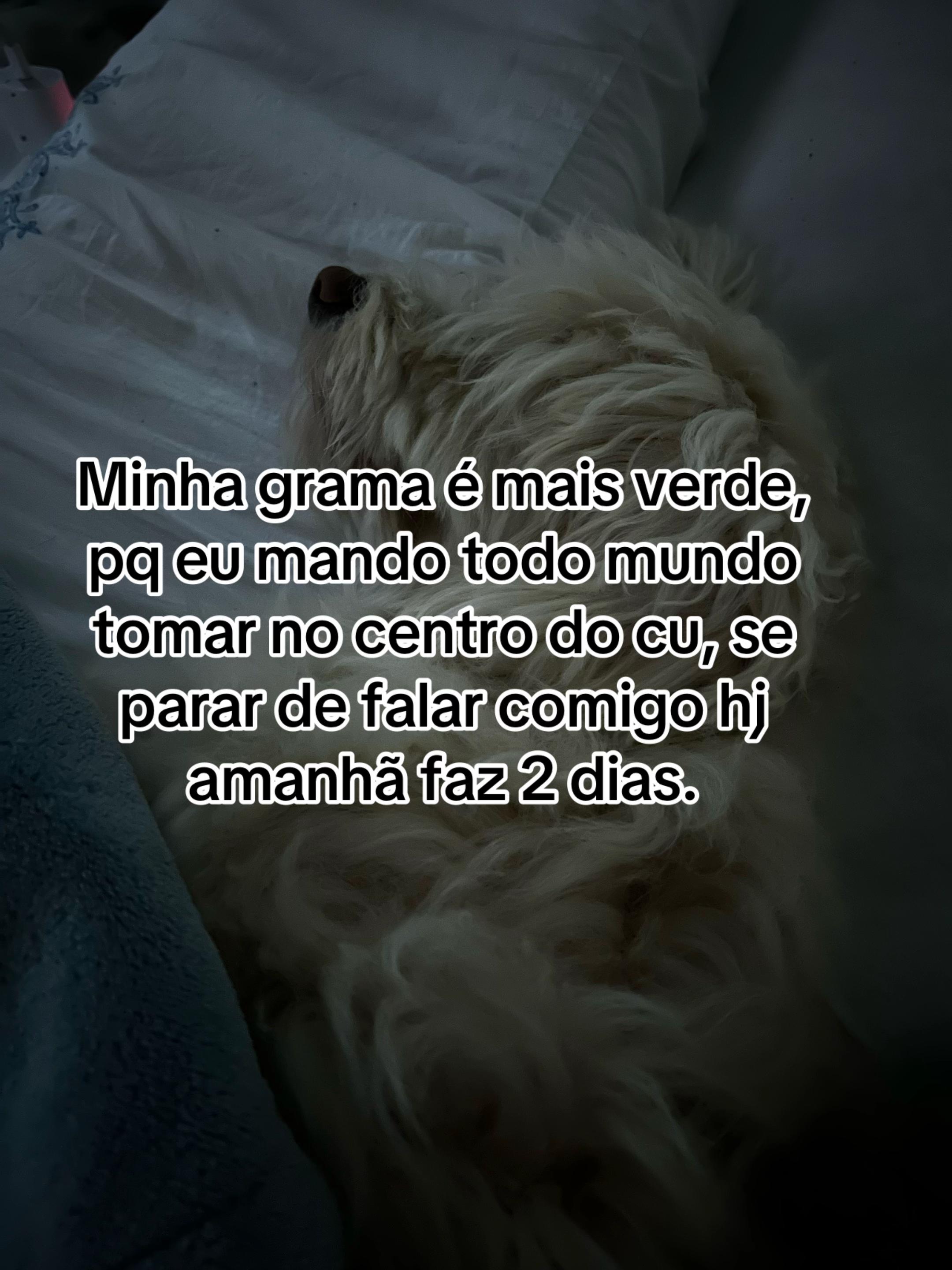 @estercarlasss