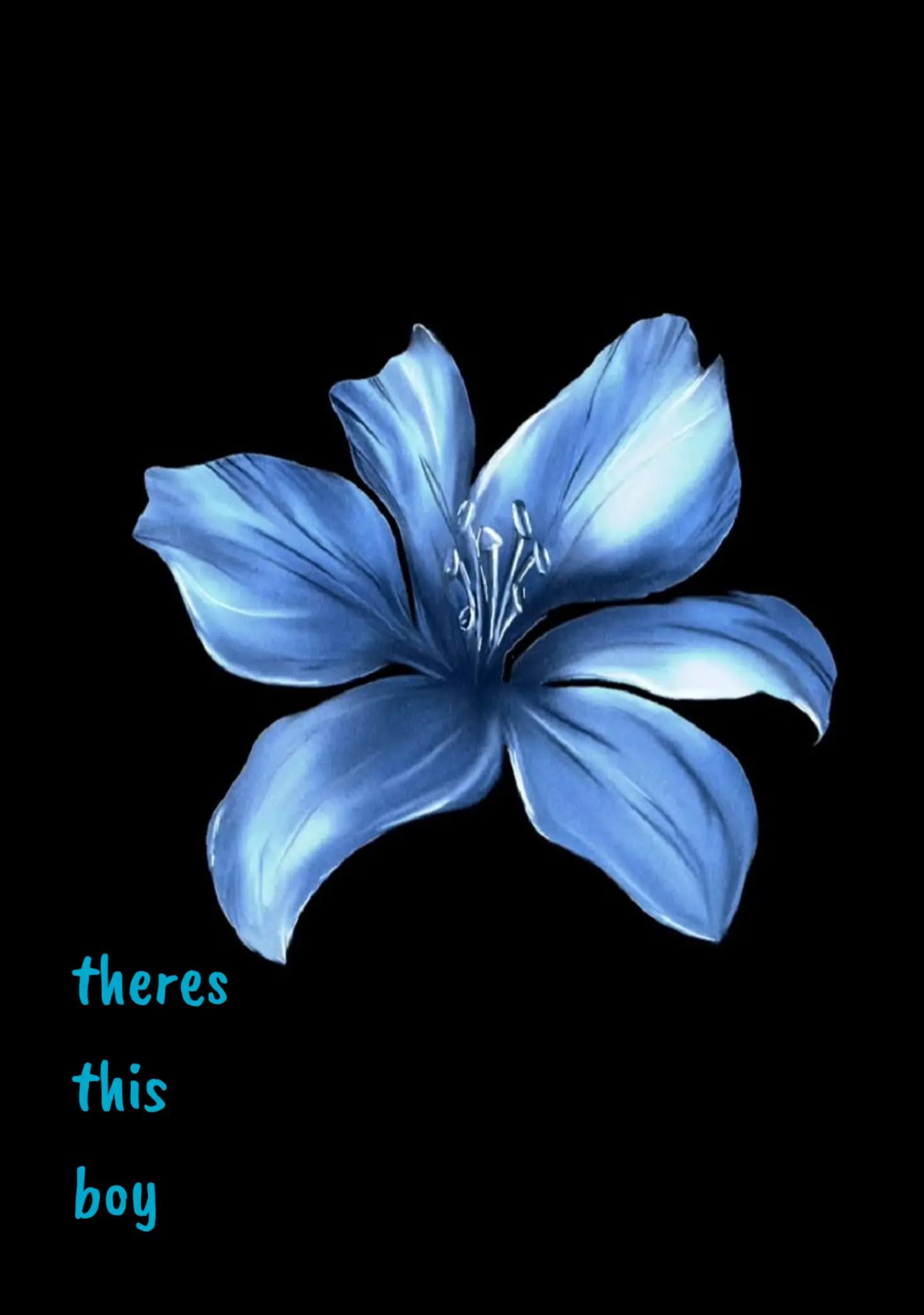 @⋆. ୨୧˚⋆ 𝑓𝑒𝑙𝑖𝑥⋆. ୨୧˚⋆