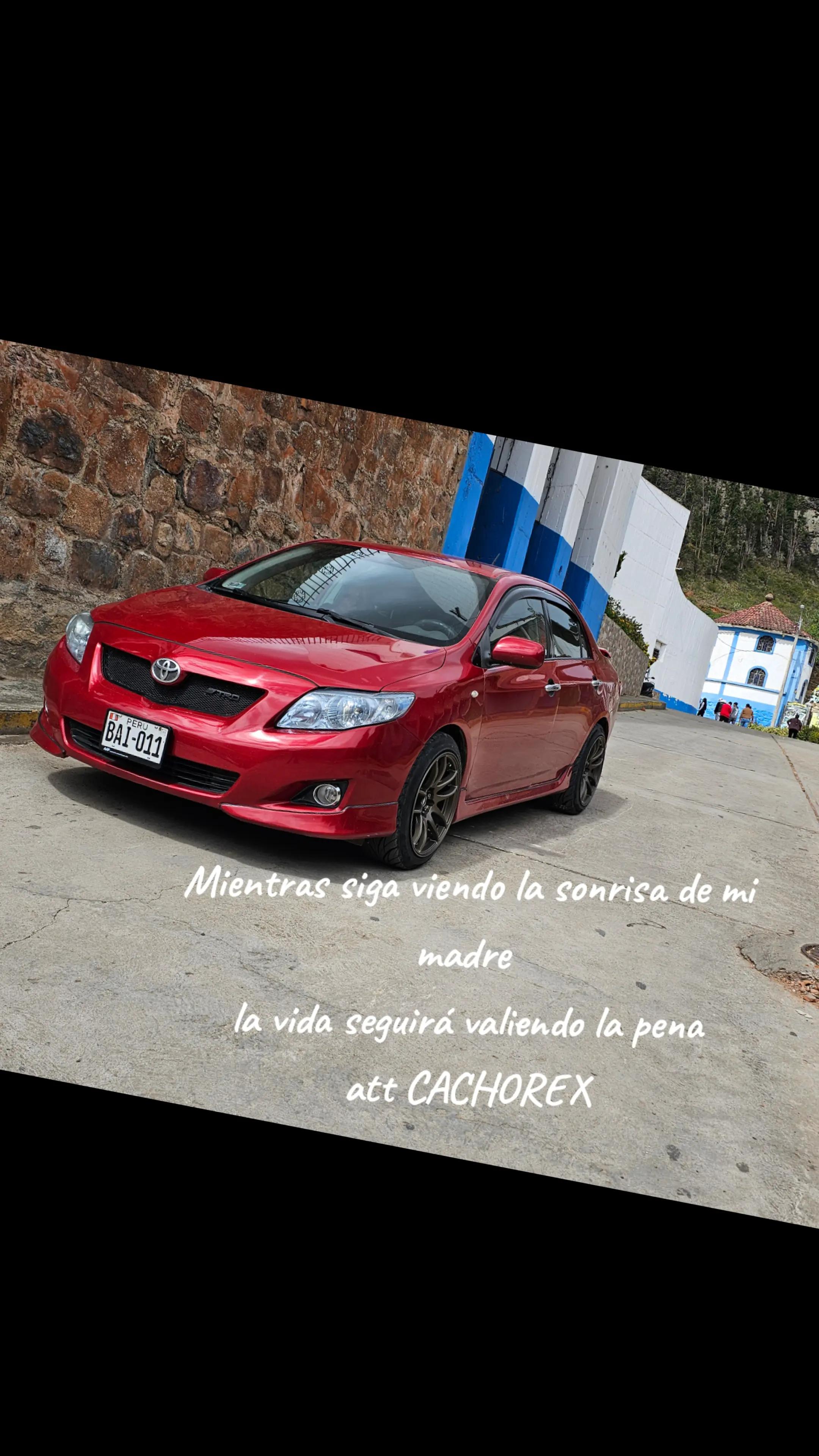 @💎CACHORRO