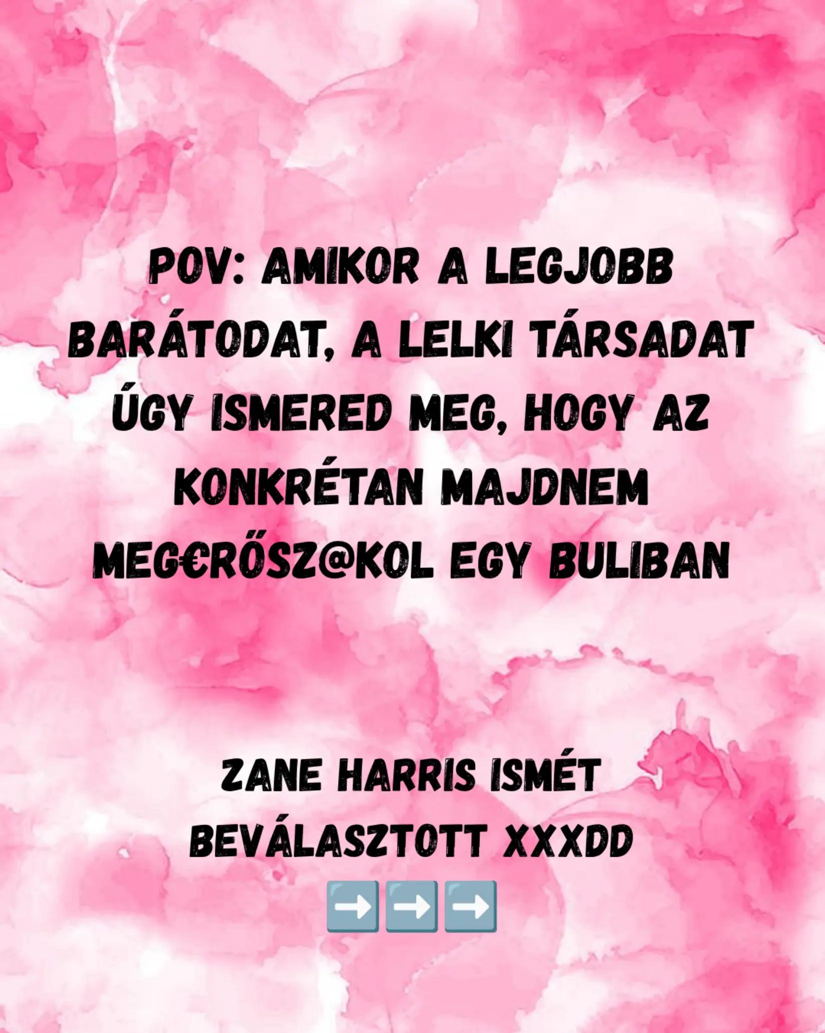 @Mezőföldi Pitypang író✍️