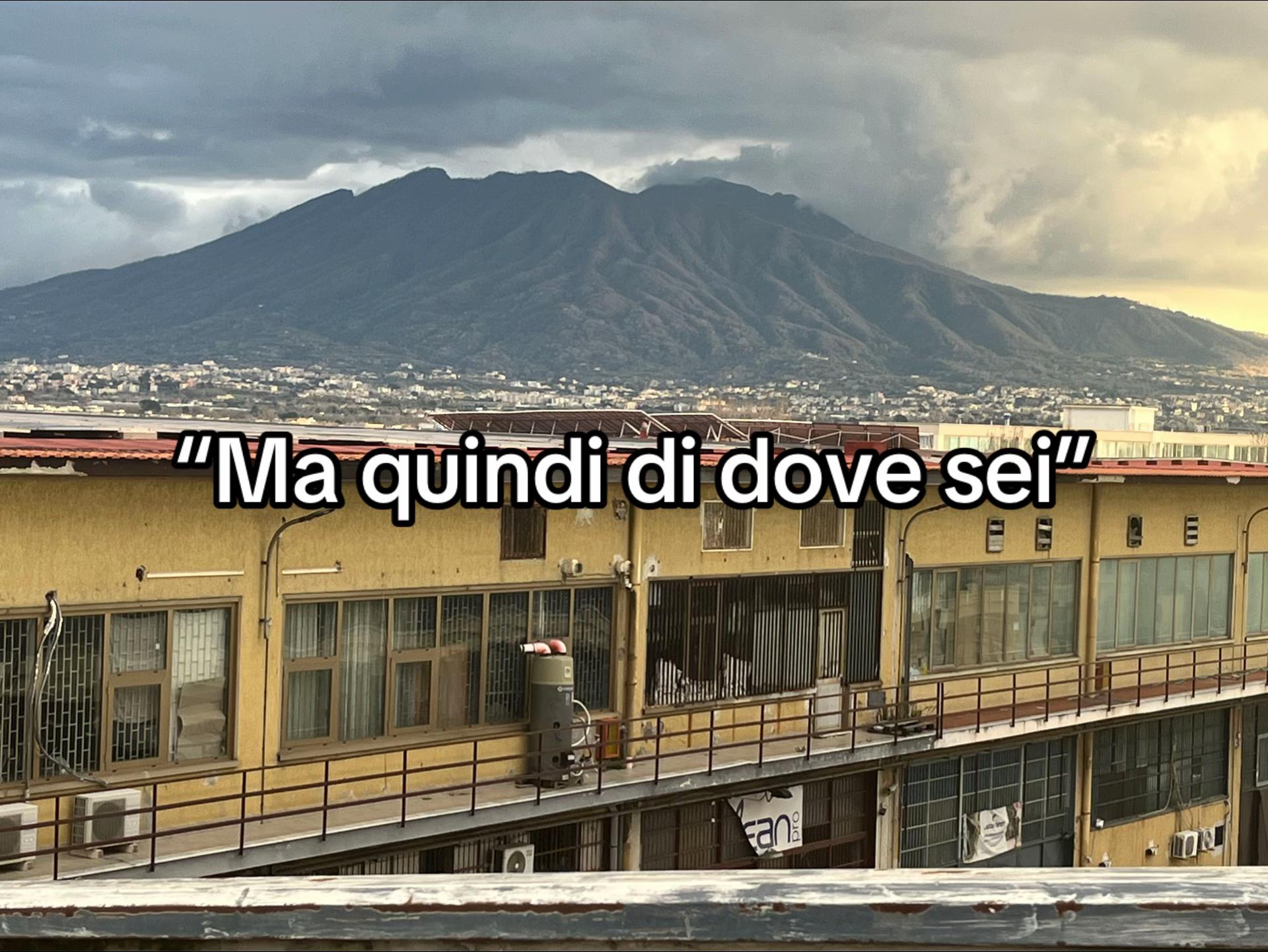 @dilorenzo223