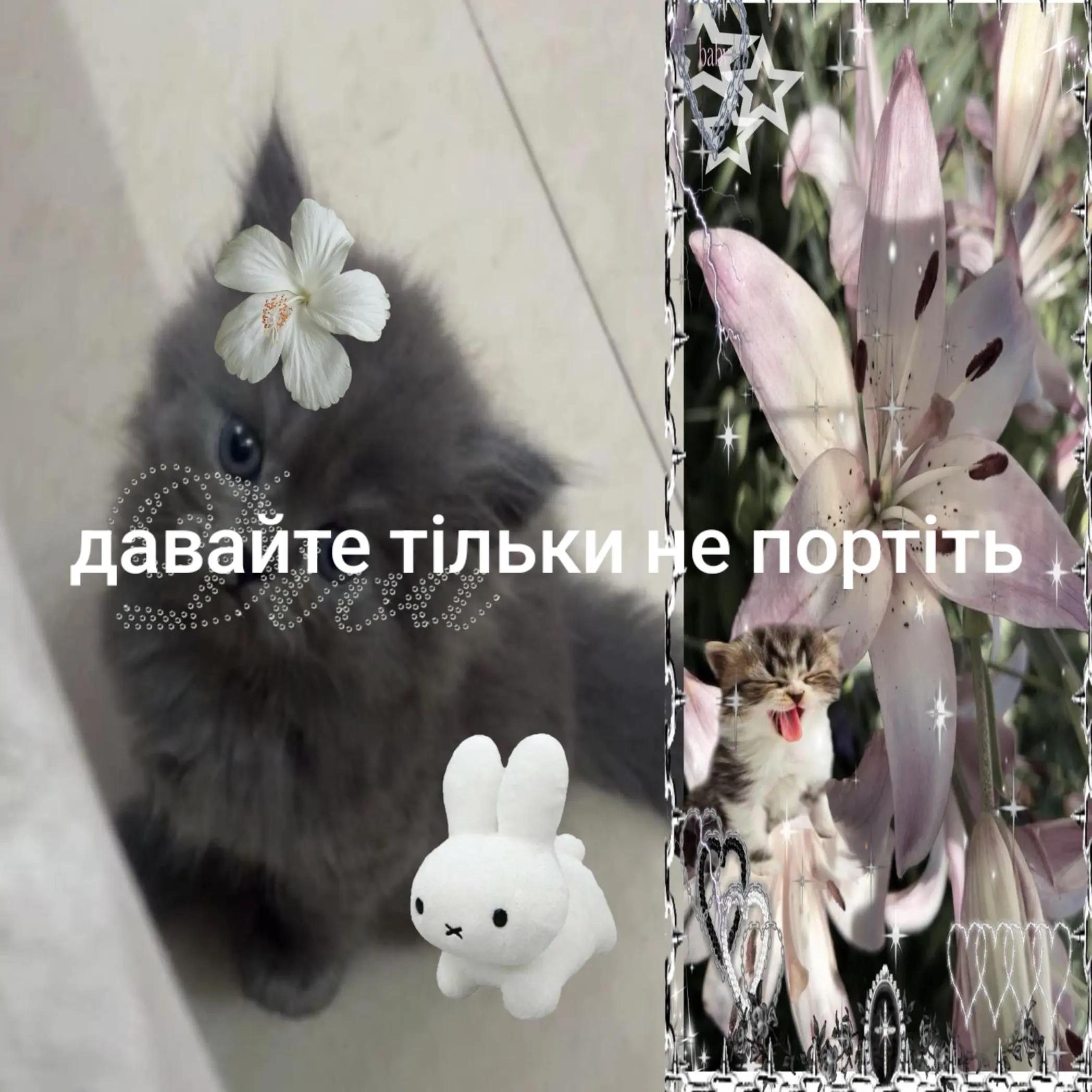 @veronika_blog🎧