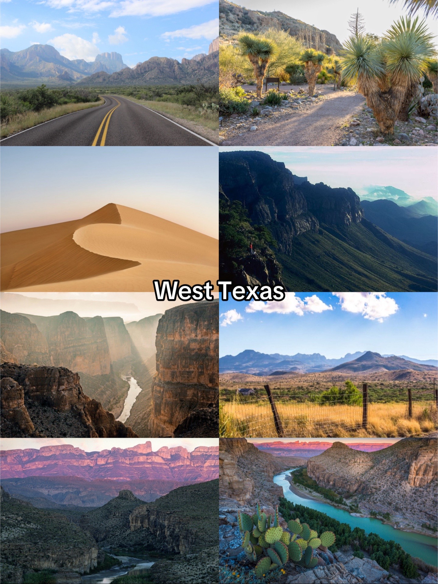 @Texas