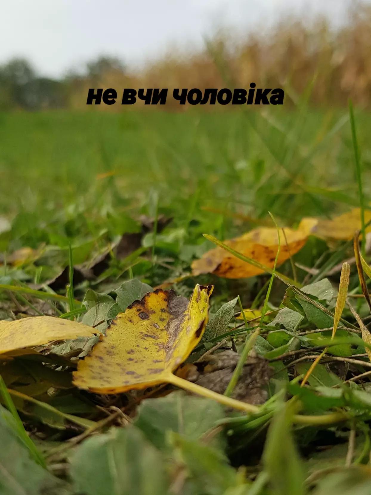 @⛧ Рижик 🐈