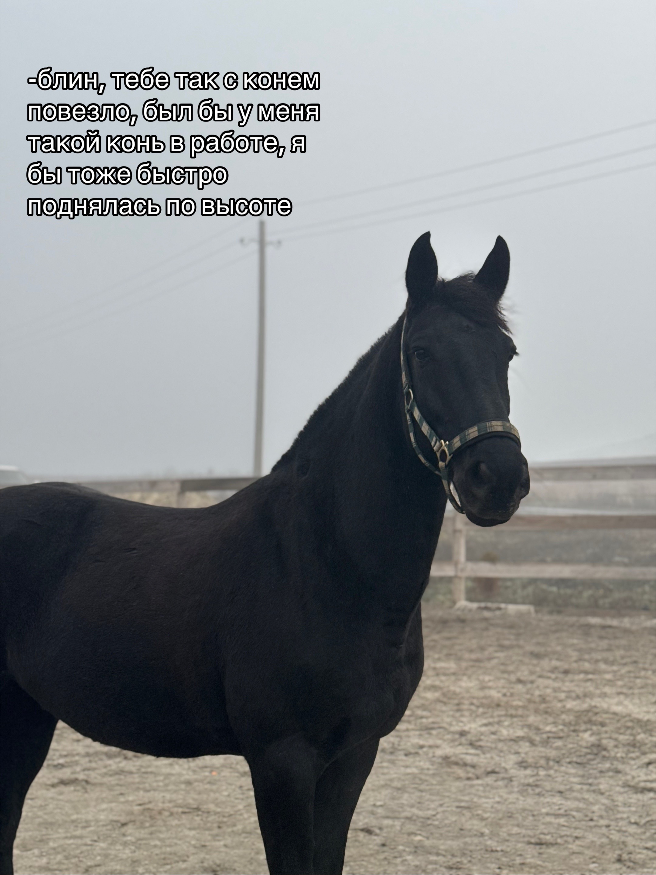 @чикуля