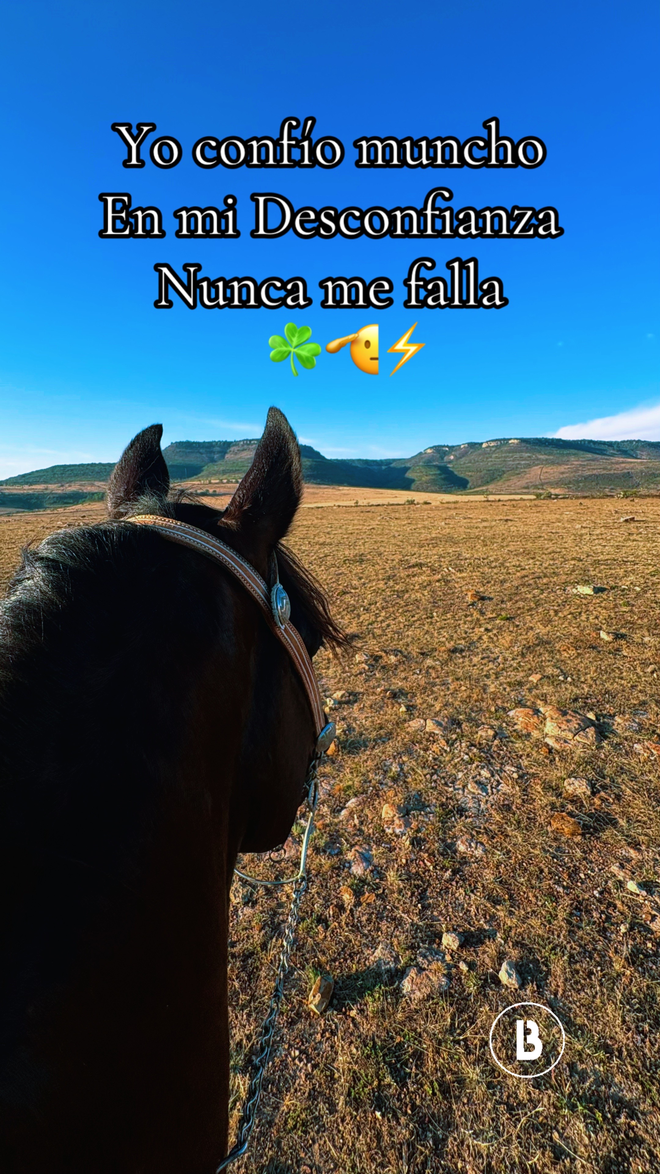 @El zurdo🌵🐴