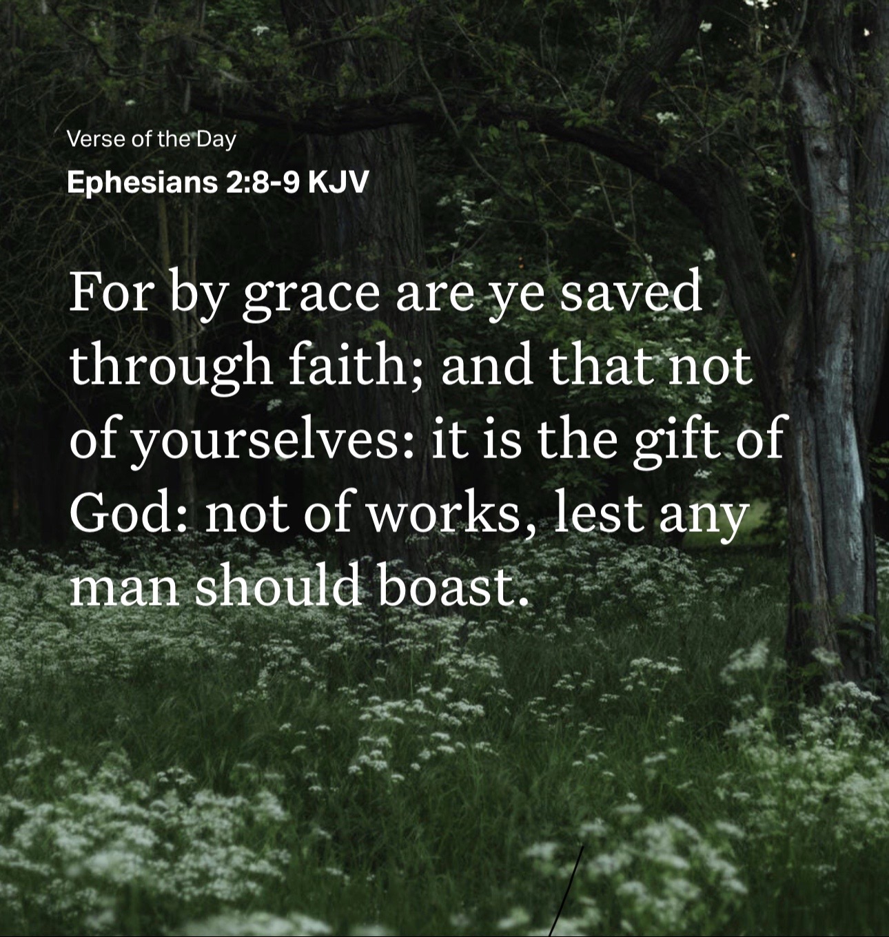 @WordsToLiveBy