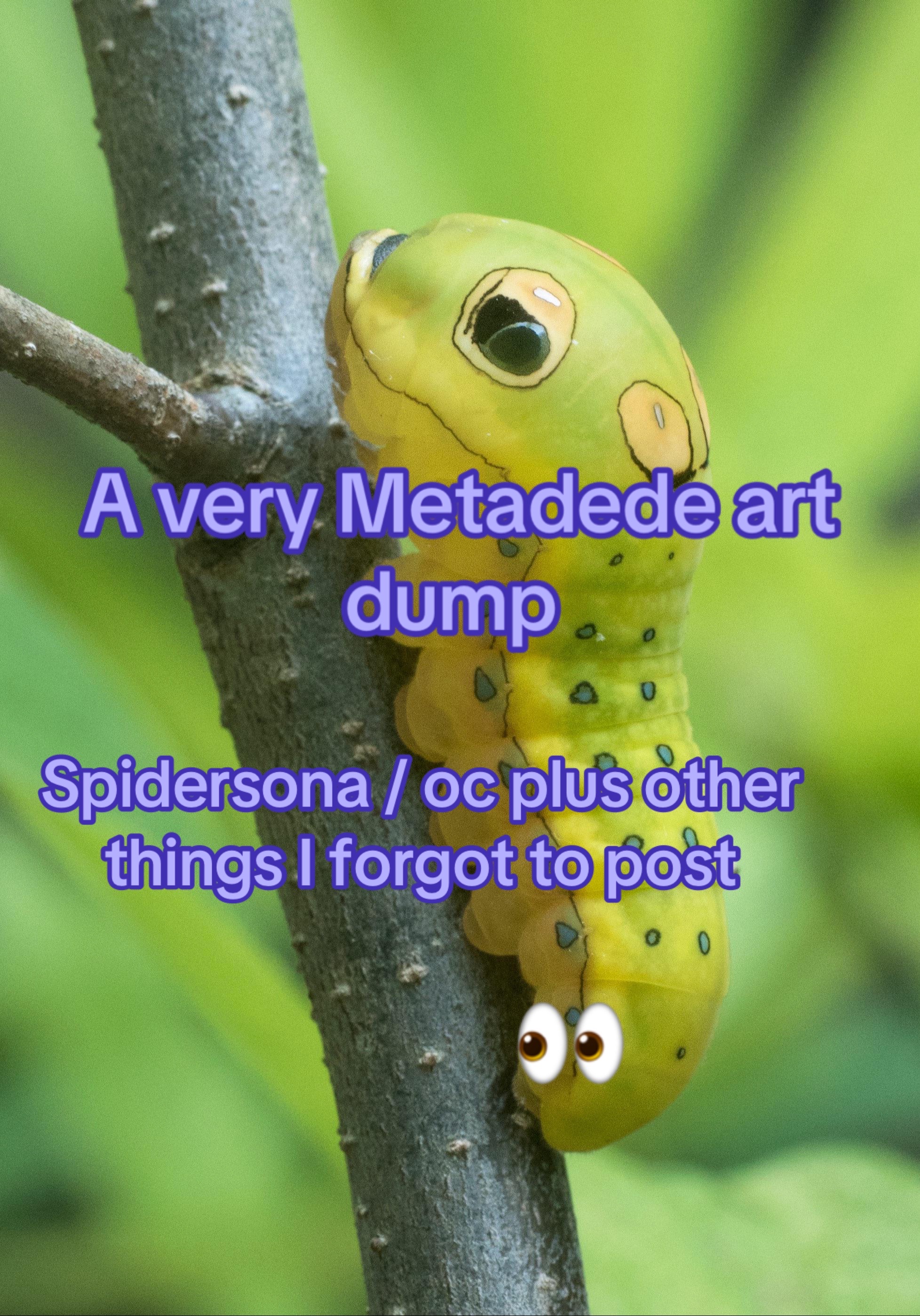 @metadede !!