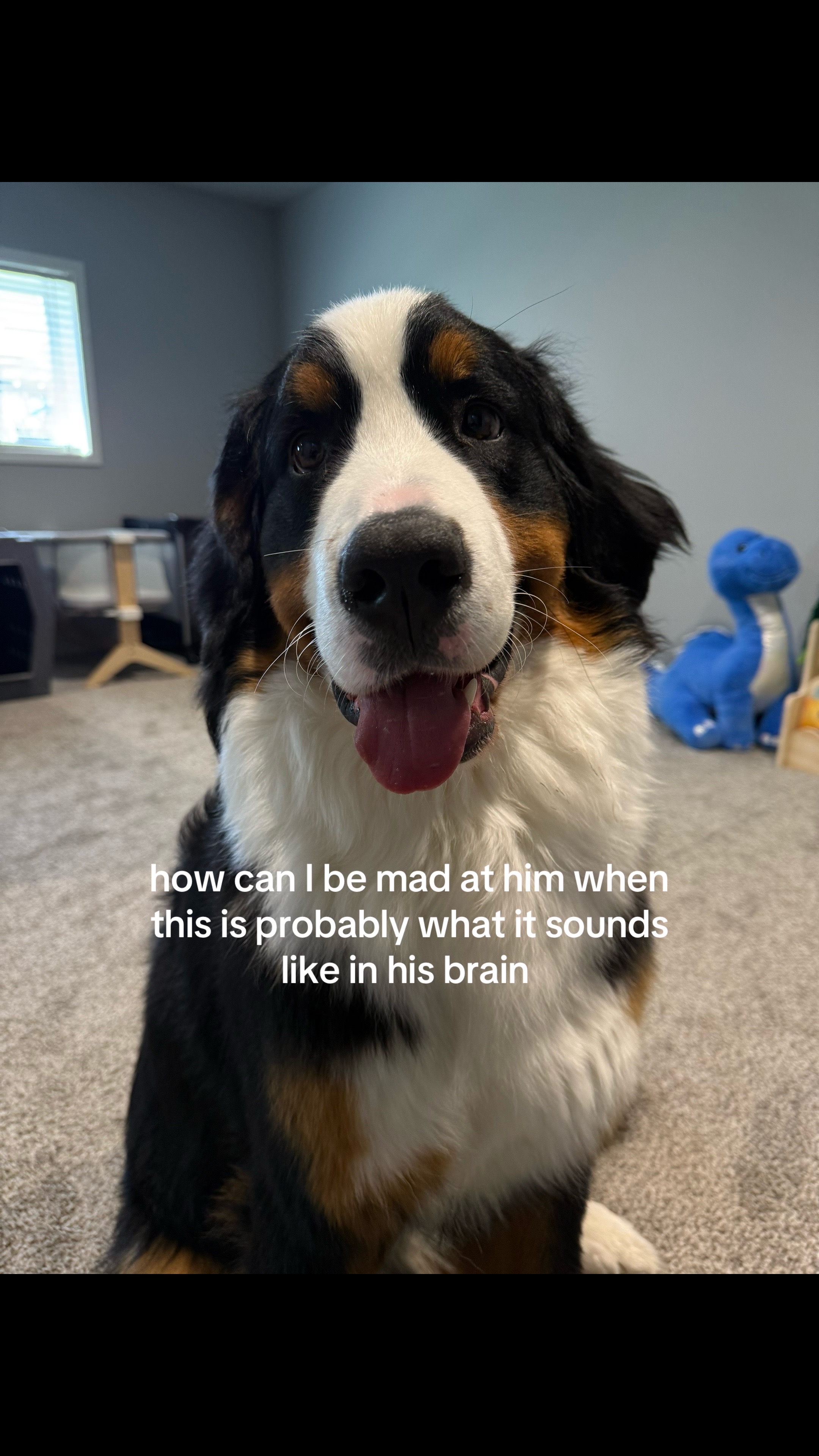 @Cait Lennon