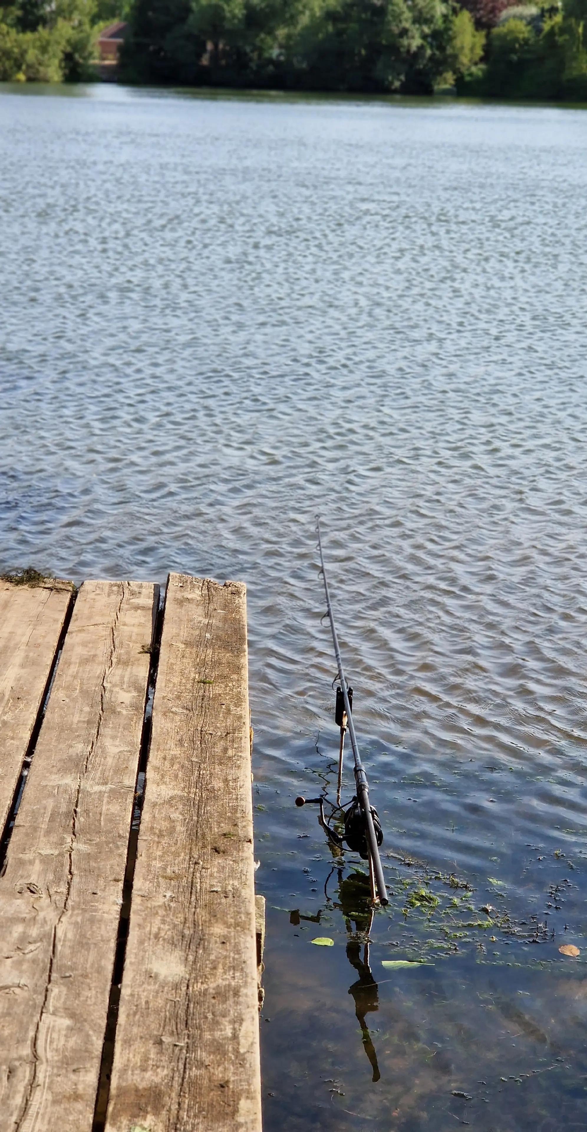 @Carpy Brez