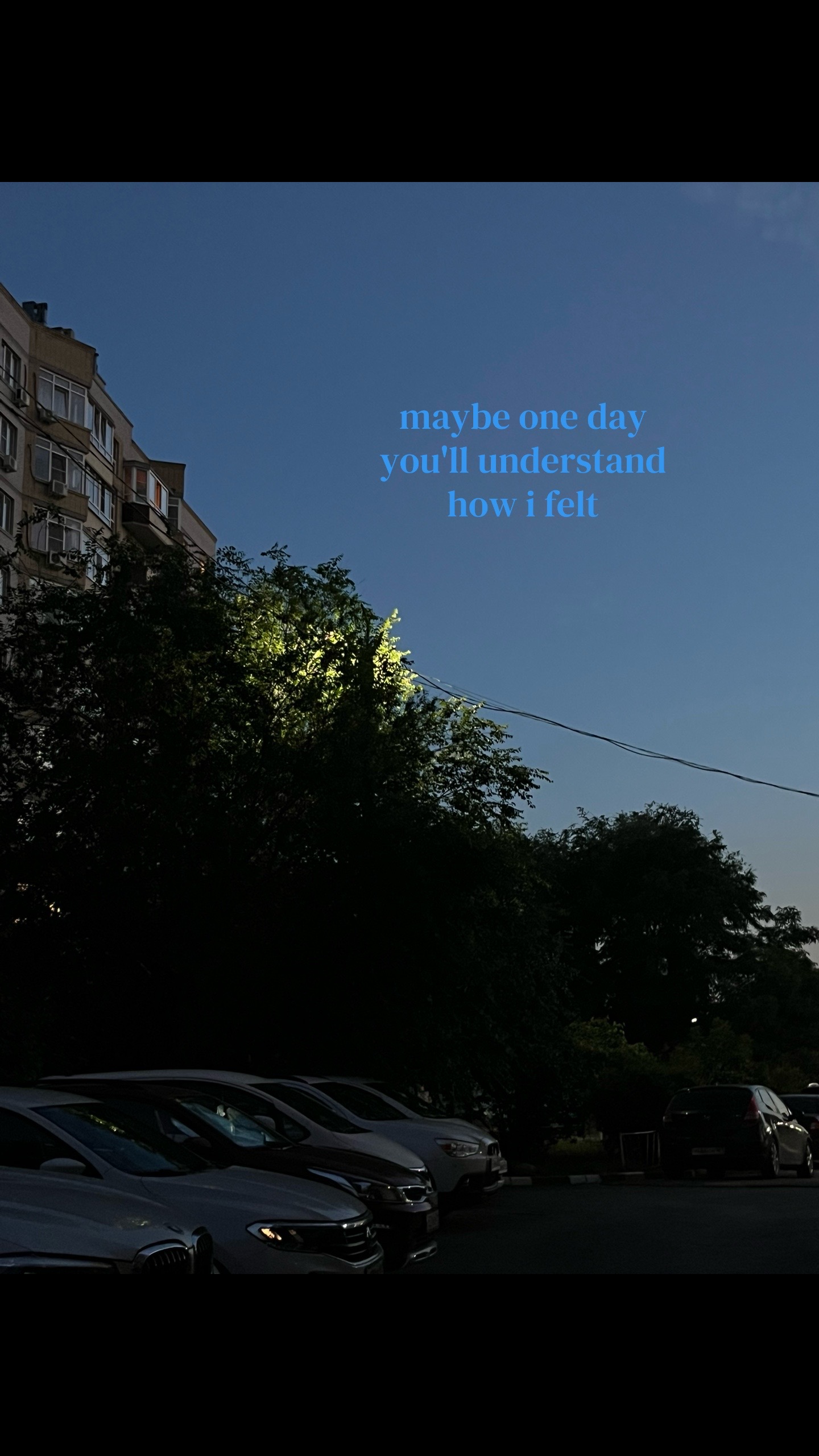 @Reverb.