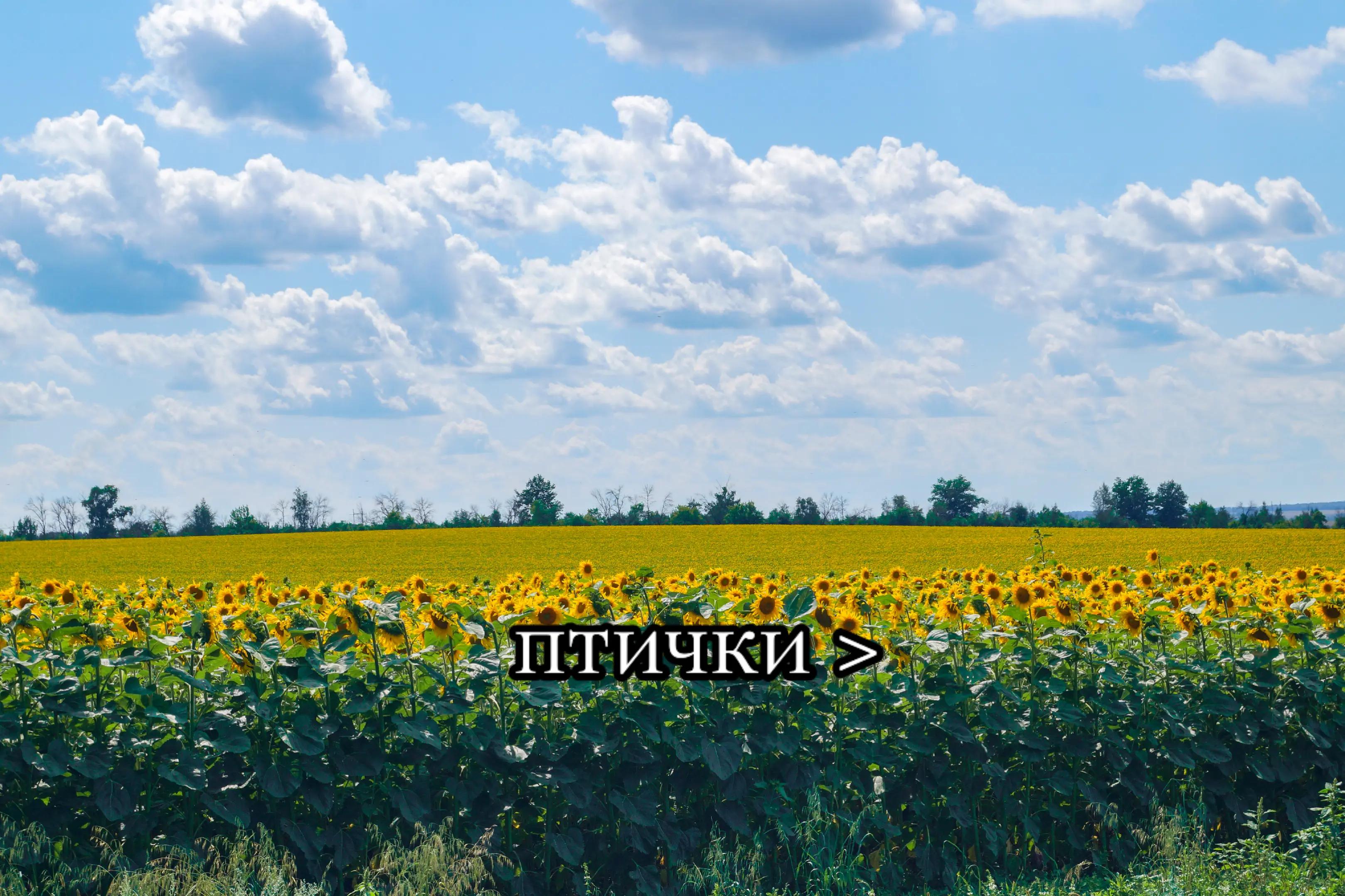 @Злой карась
