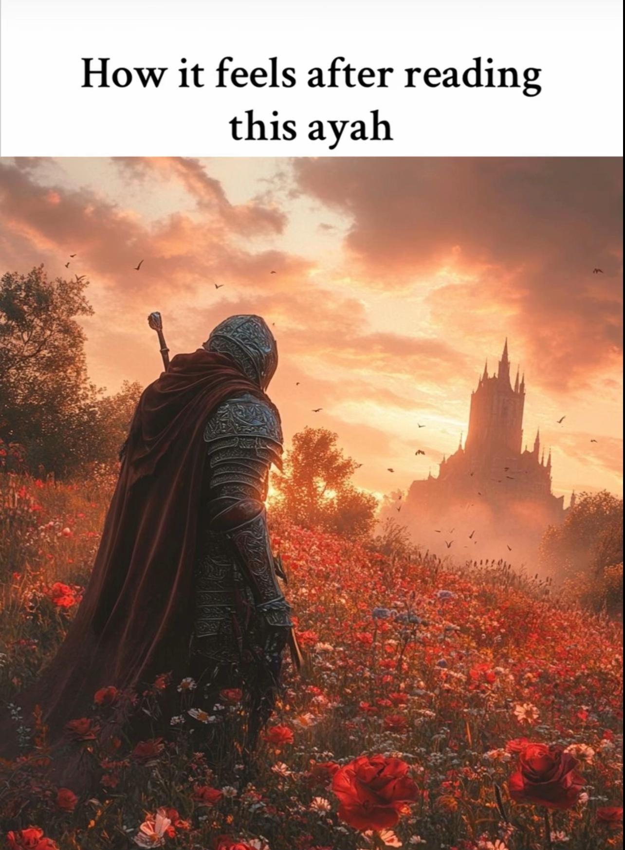 @englishtranslatedquran