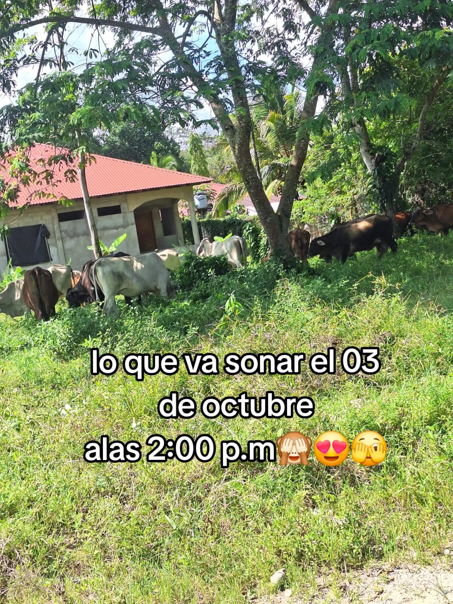 @JOSELIN❤️&zwj;🩹🔥