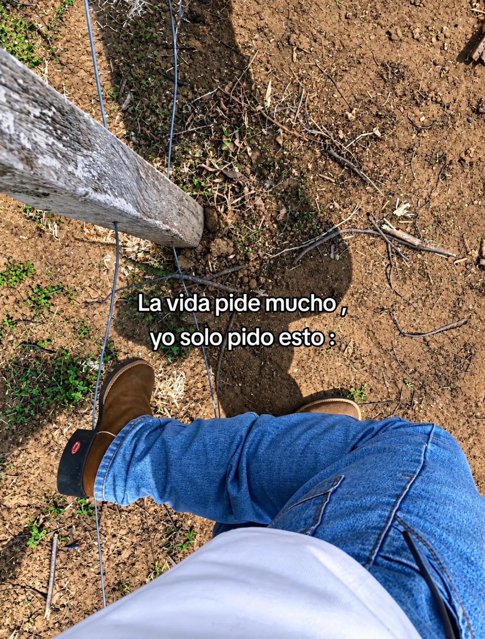 @Erick Ribera WUUUUUUU 🤙🏻